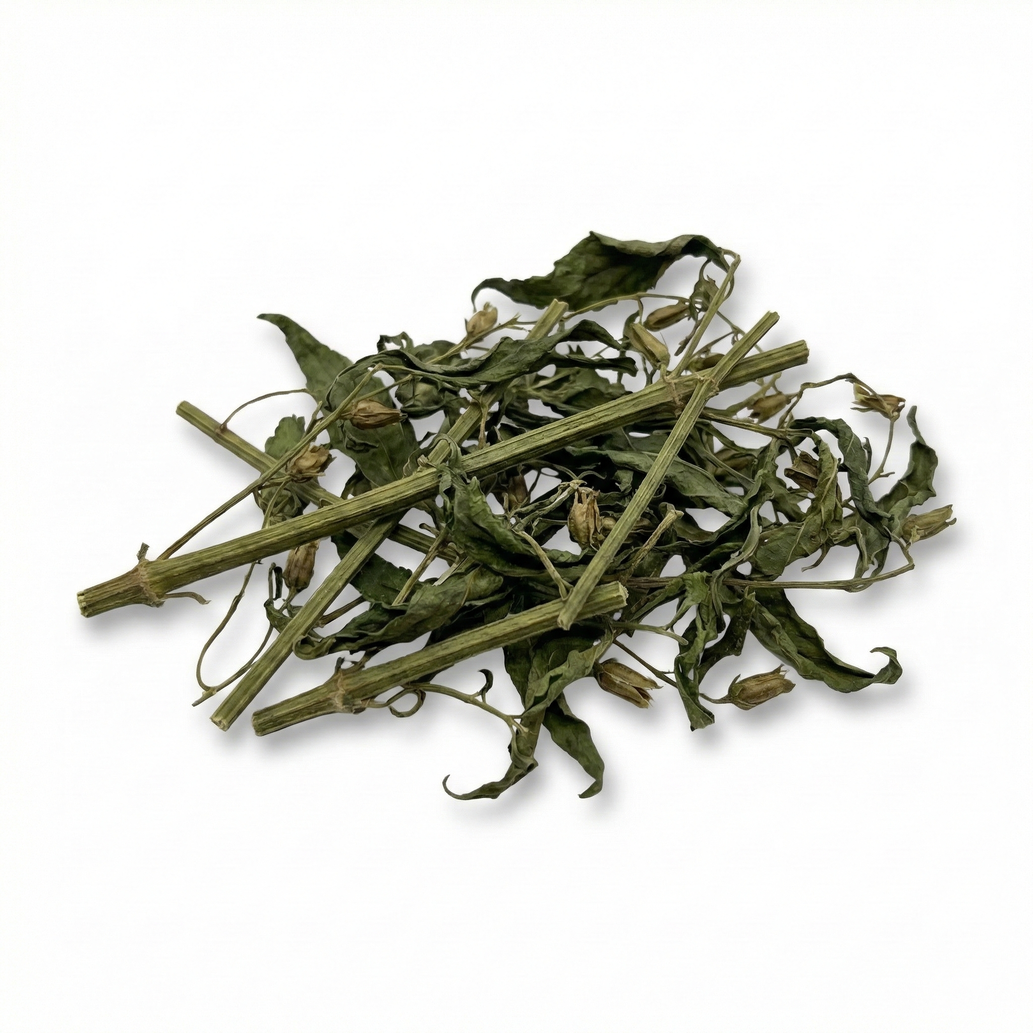 Andrographis (Chuan Xin Lian)