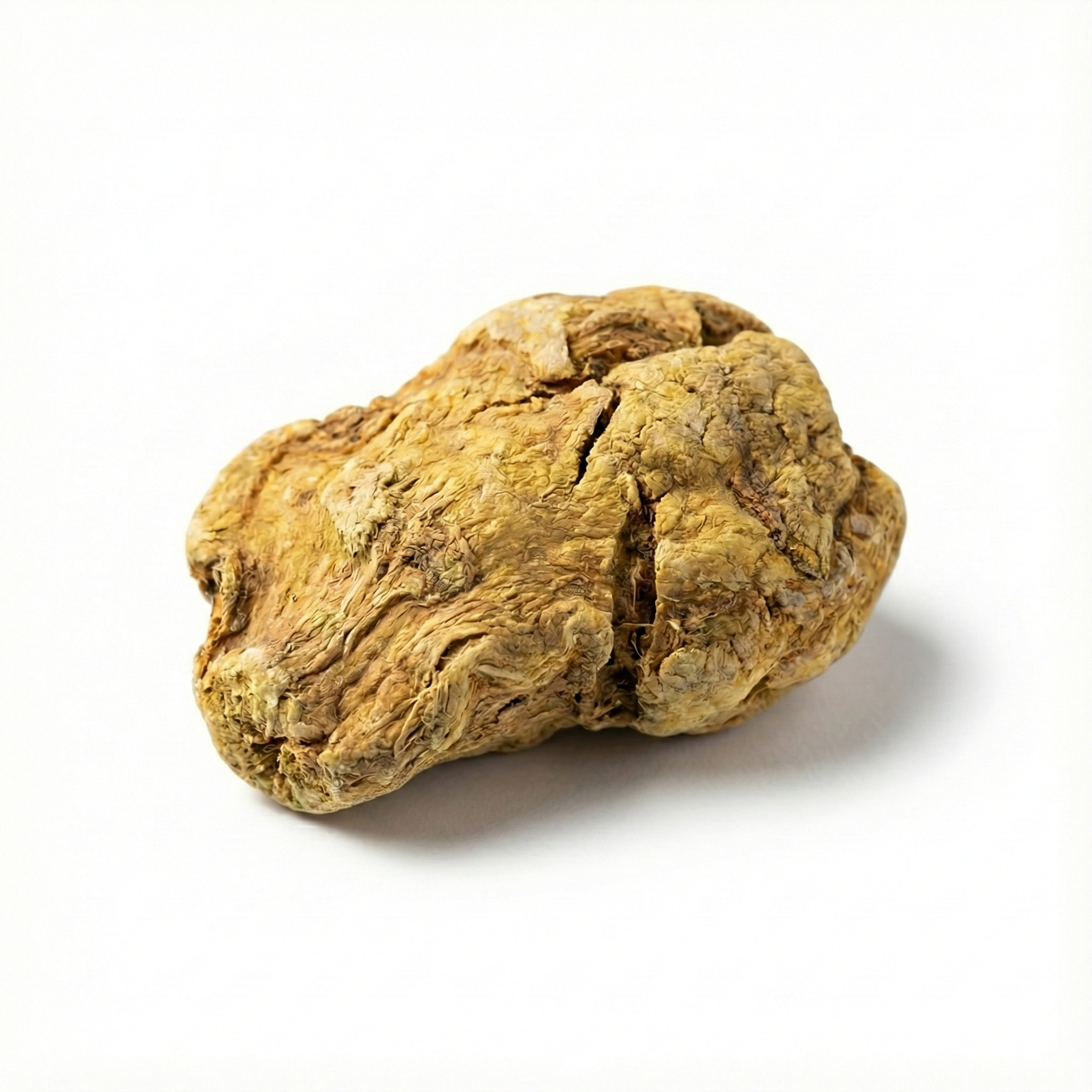 Bile-Processed Arisaema (Dan Nan Xing)