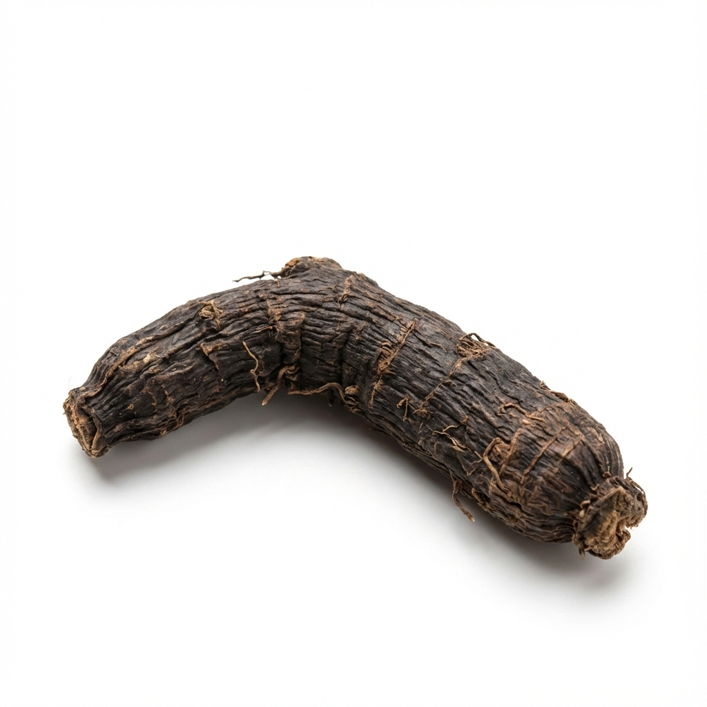 9Curculigo Rhizome (Xian Mao)