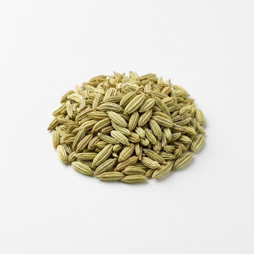 Fennel Seed (Huí xiāng zǐ)