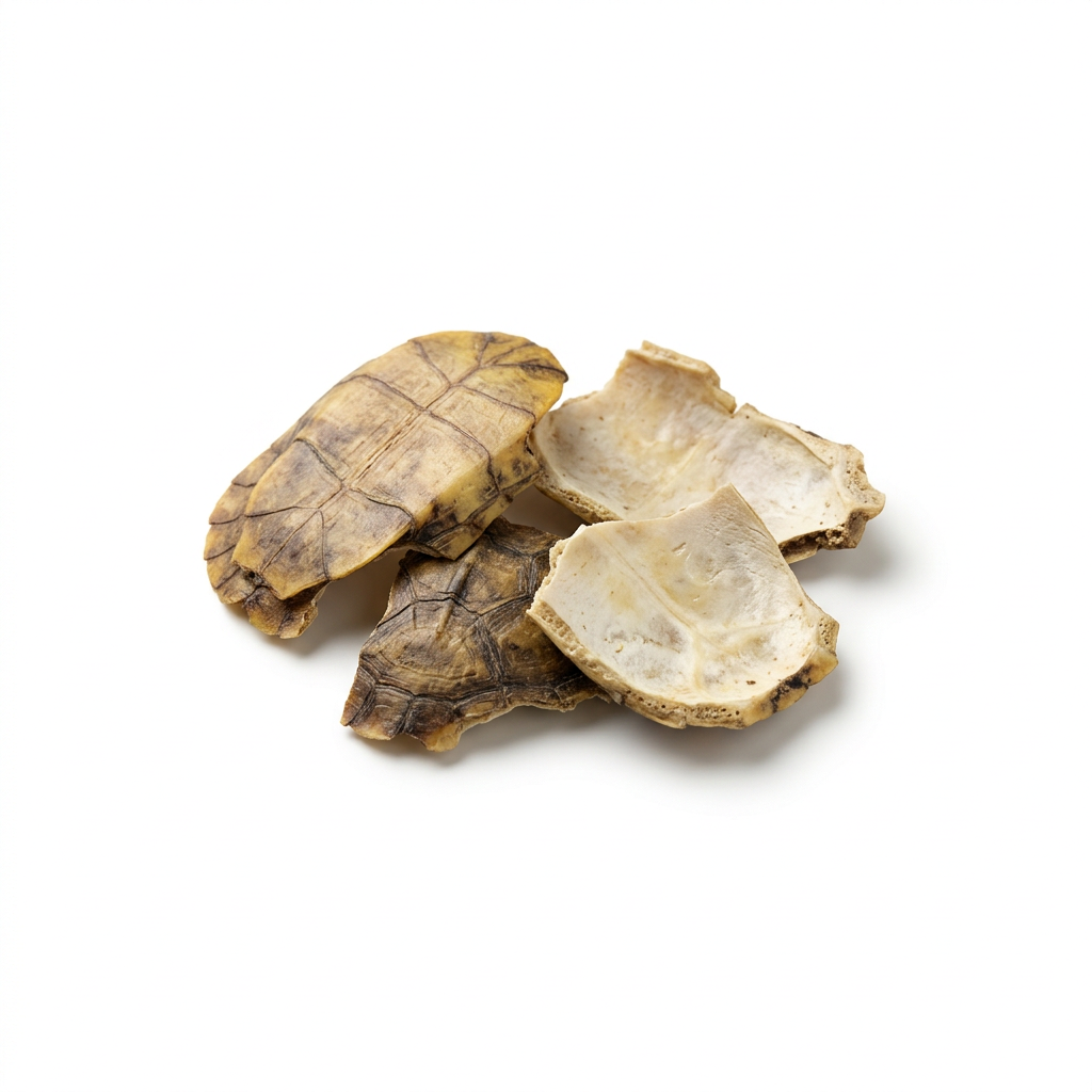 Fresh-Water Turtle Shell (Gui Ban)