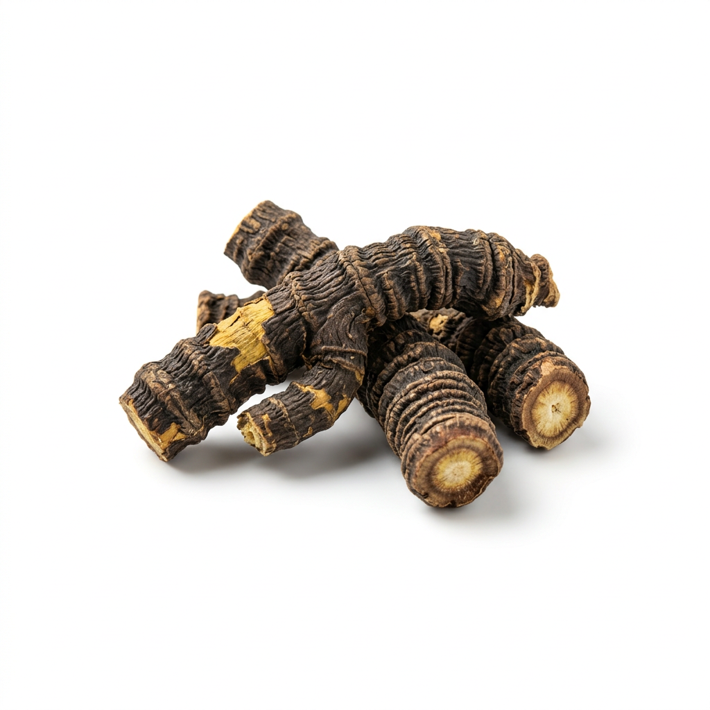 Notopterygium Root (Qiang Huo)