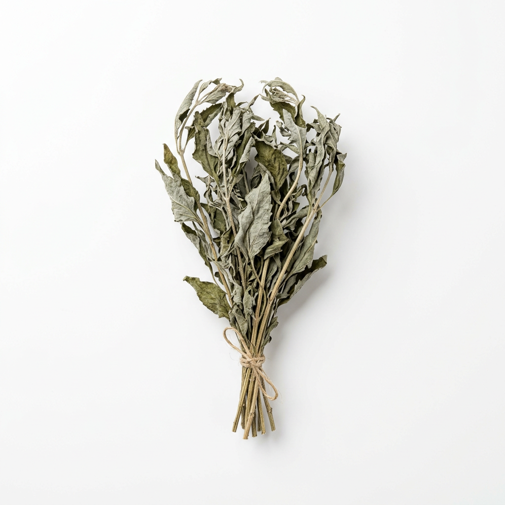 Orchid Grass Herb (Pei Lan)