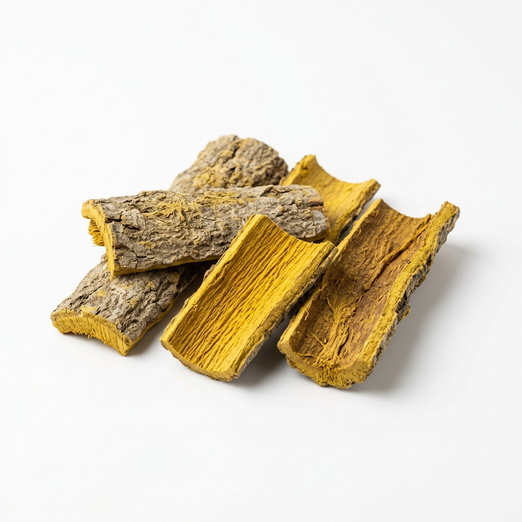 Phellodendron Bark (Huang Bai)