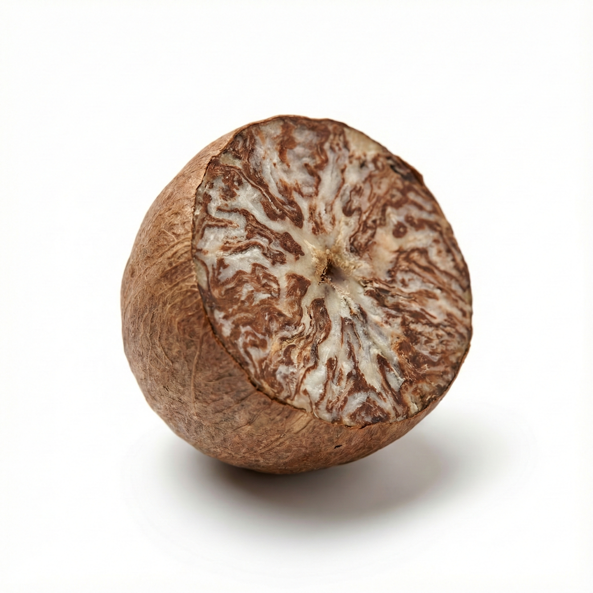 Areca seed (Bing lang)