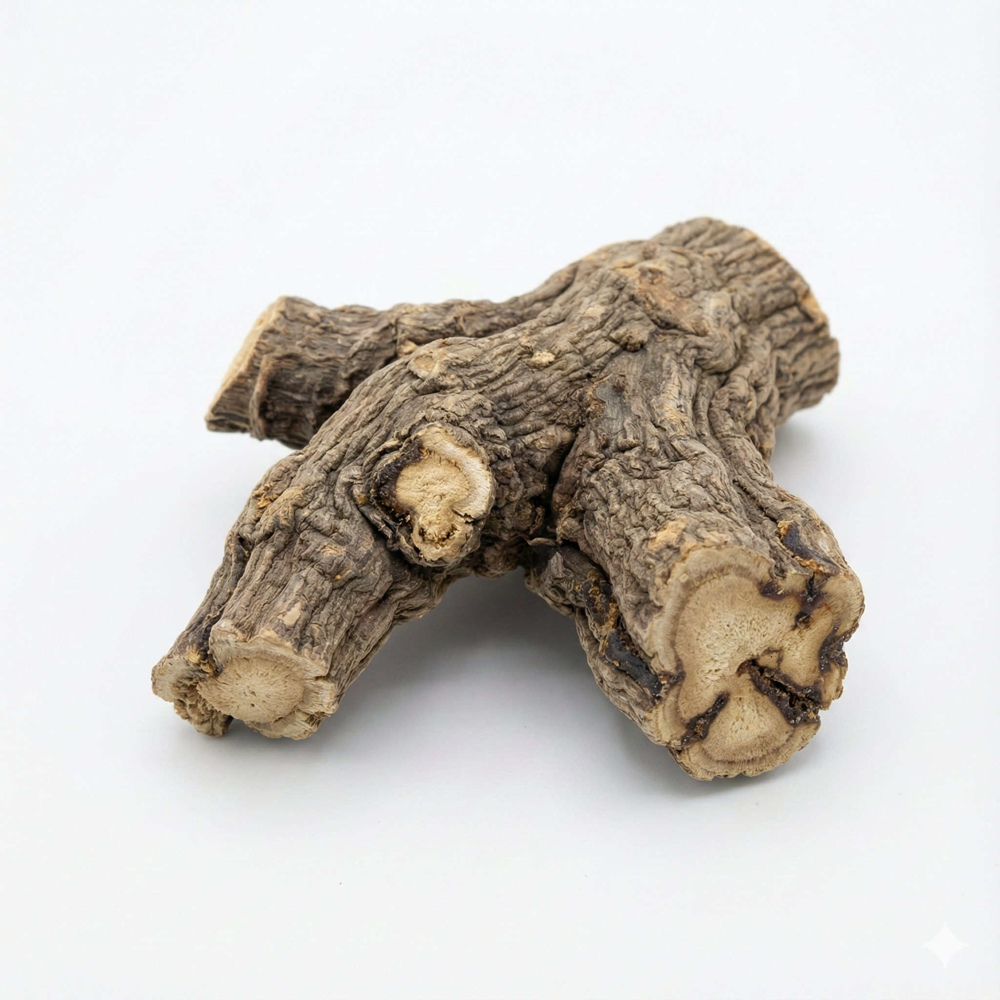 Vladimiria Root (Chuan Mu Xiang)