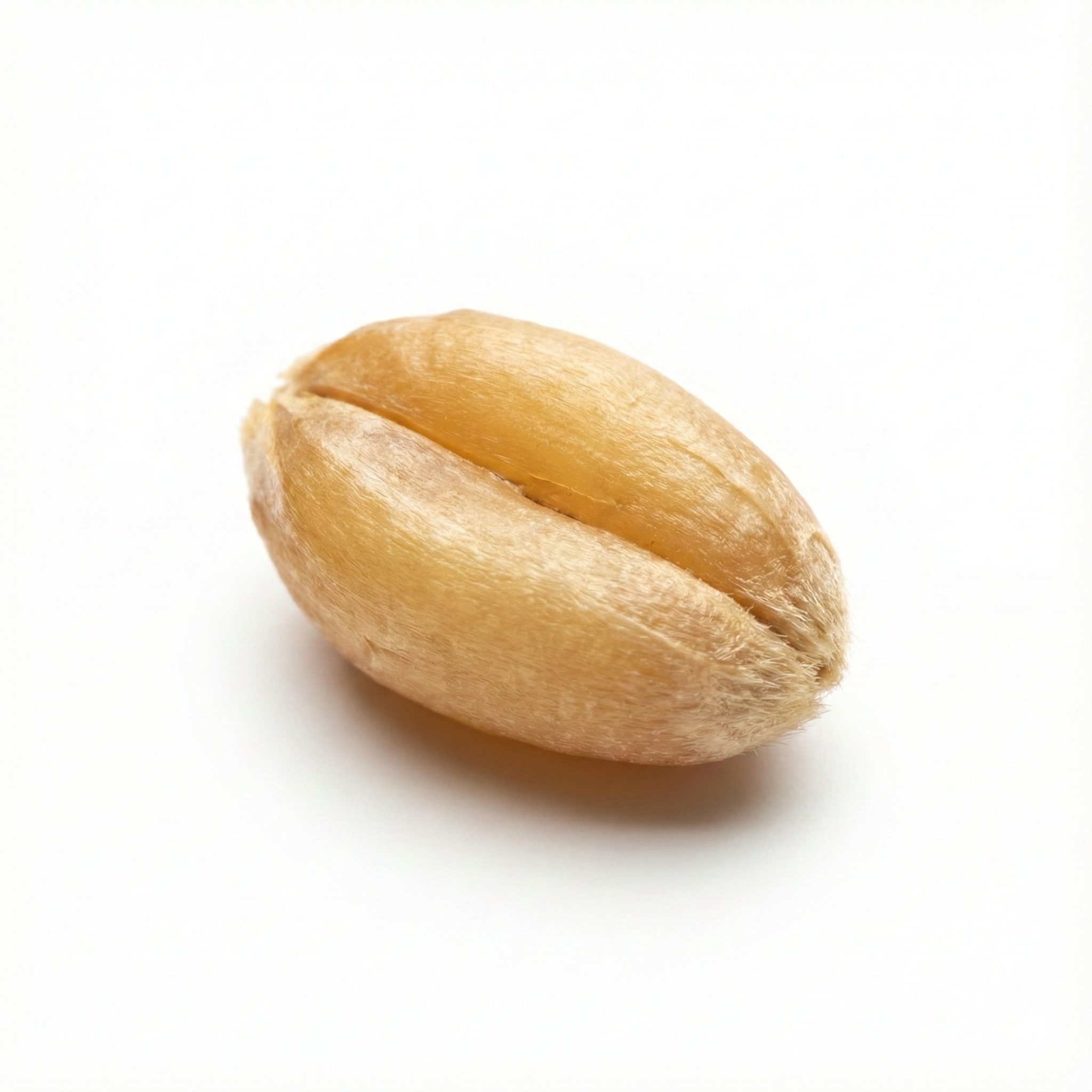 Light Wheat (Fu Xiao Mai)