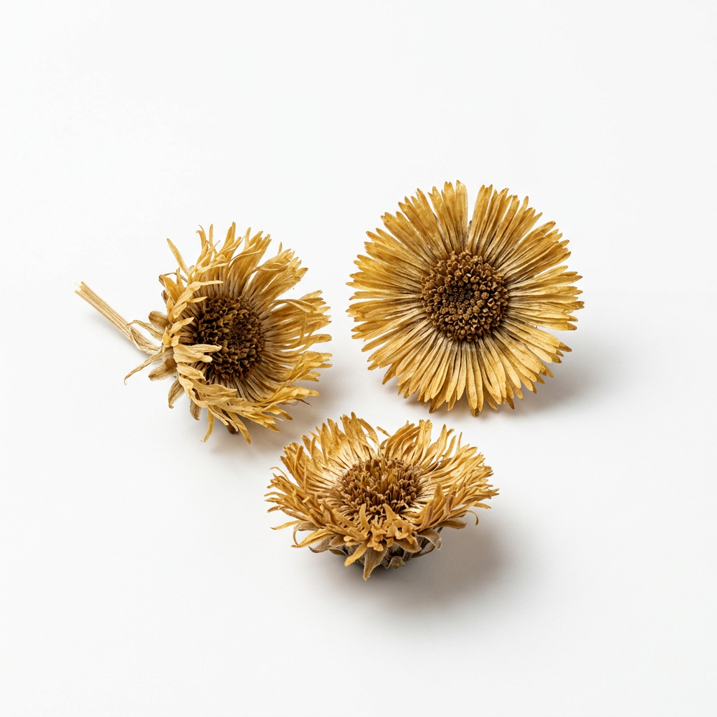 Coltsfoot Flower (Kuan Dong Hua)