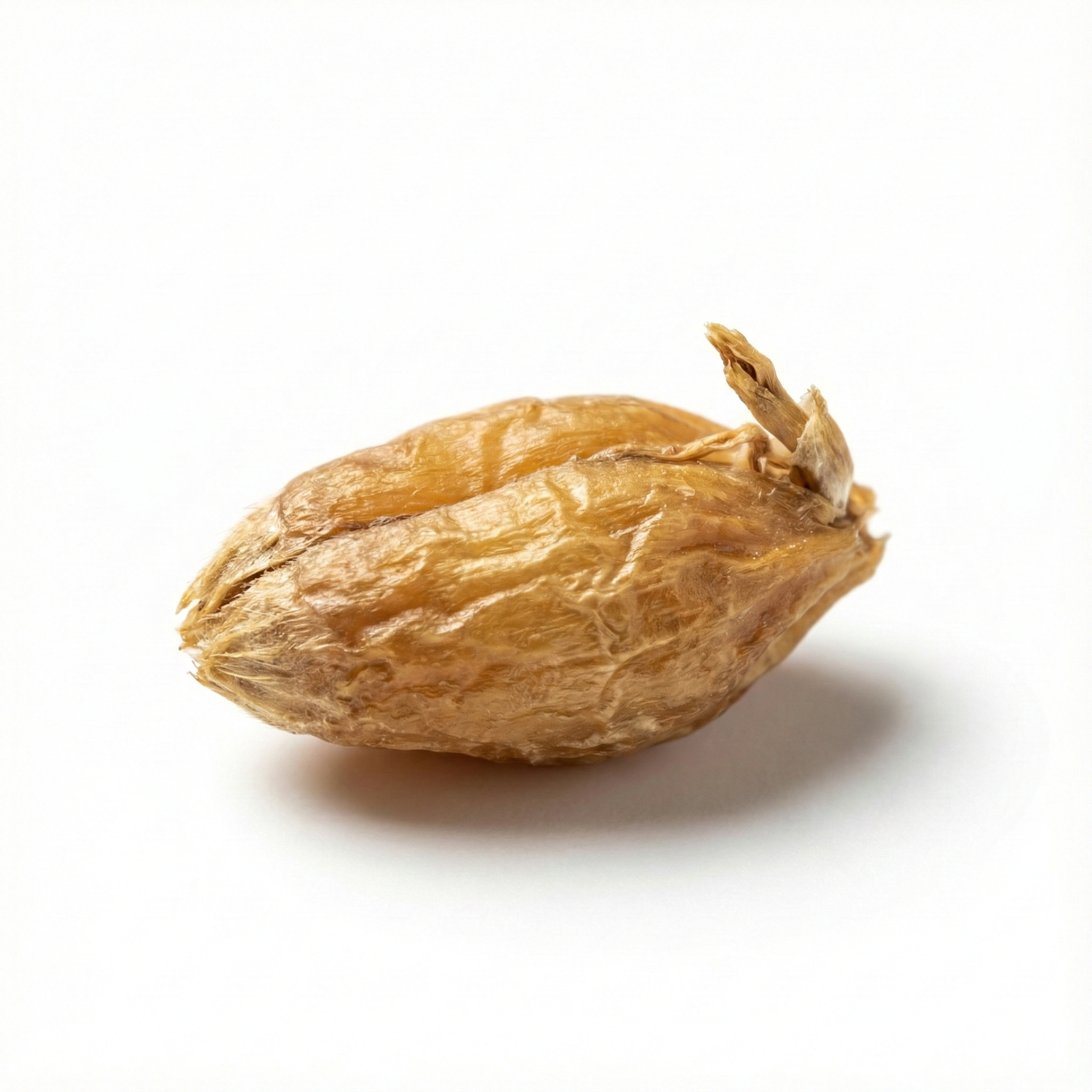 Barley dried germinated ripe fruit (Mai Ya)