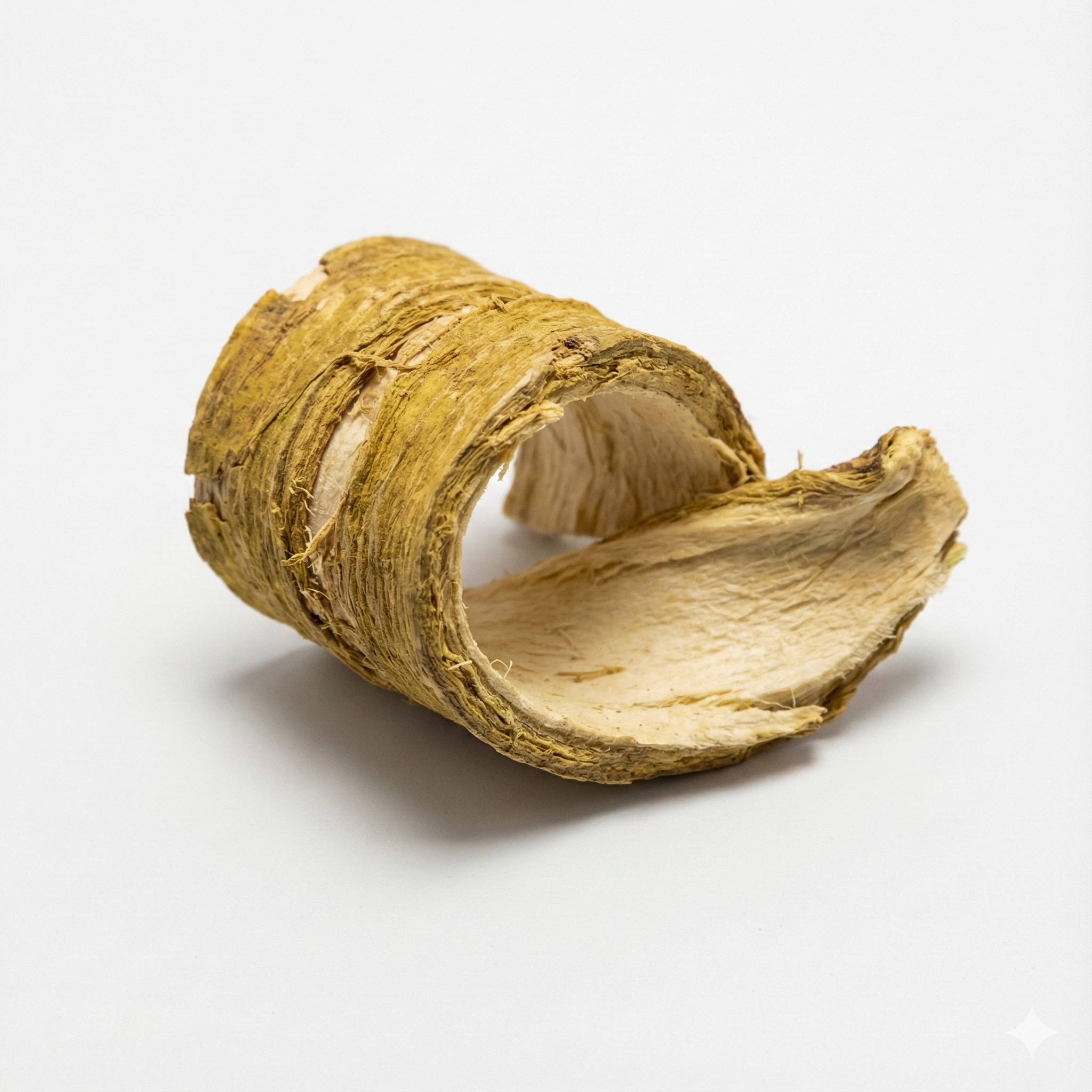 White Mulberry Root Bark (Sang Bai Pi)