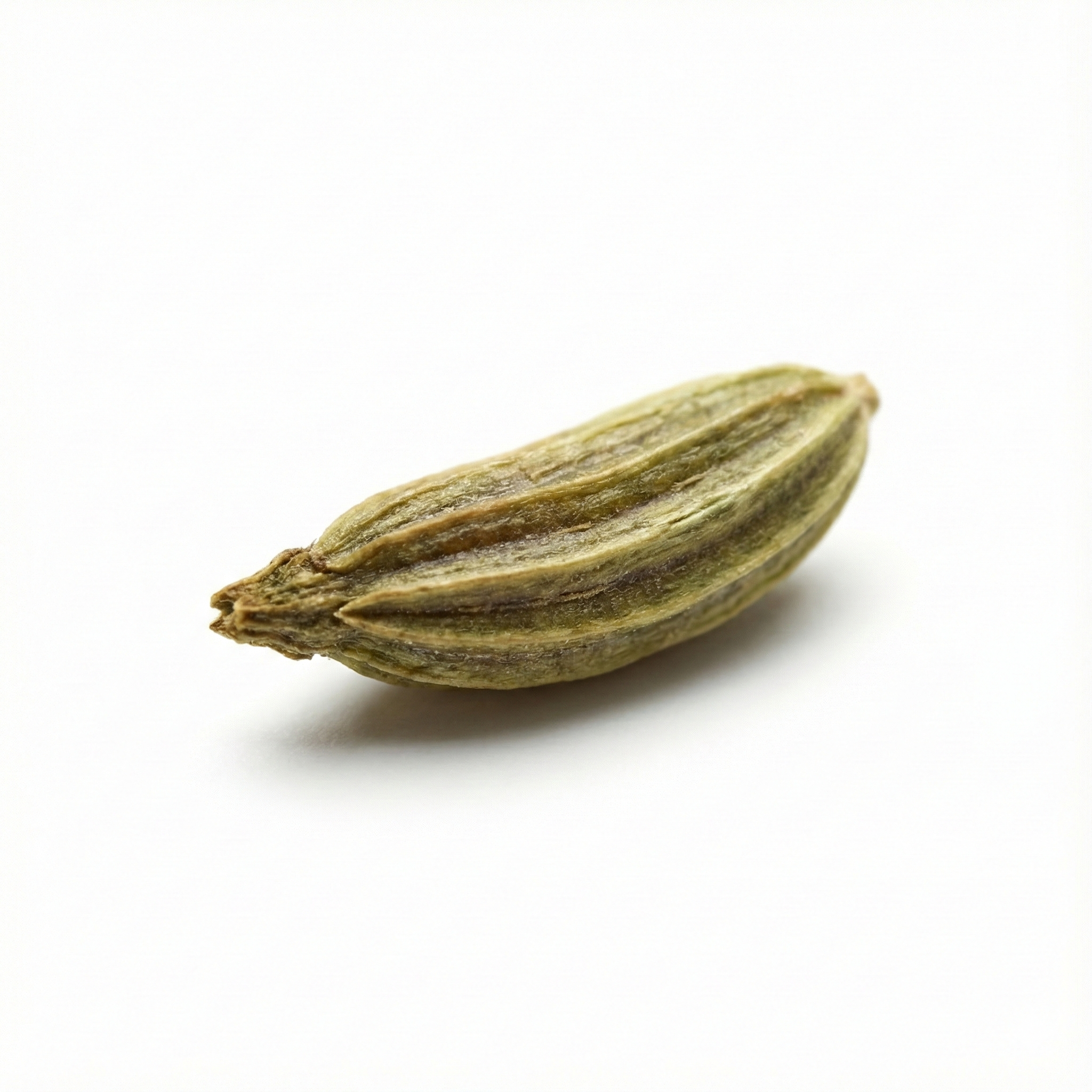 Fennel Fruit (Xiao Hui Xiang)