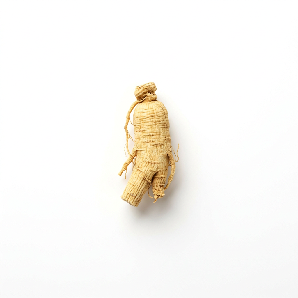 Asian Ginseng Root (Ren Shen)