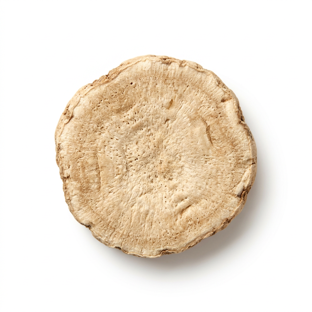 Asian Water Plantain Rhizome (Ze Xie)