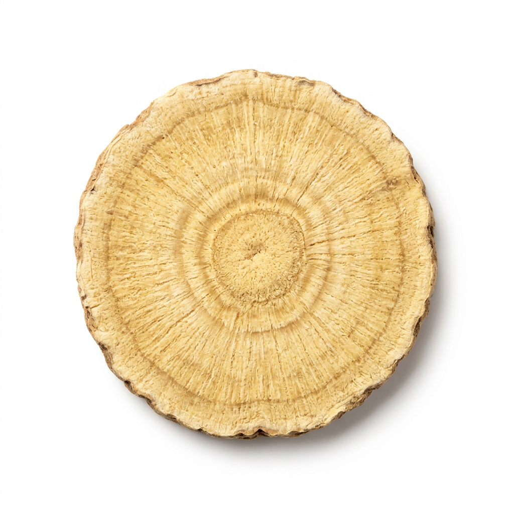 Astragalus Root (Huang Qi)