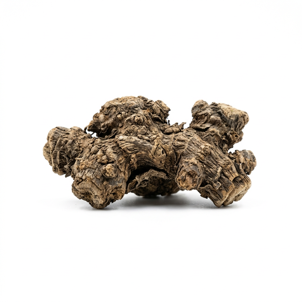 Atractylodes Rhizome (Bai Zhu)