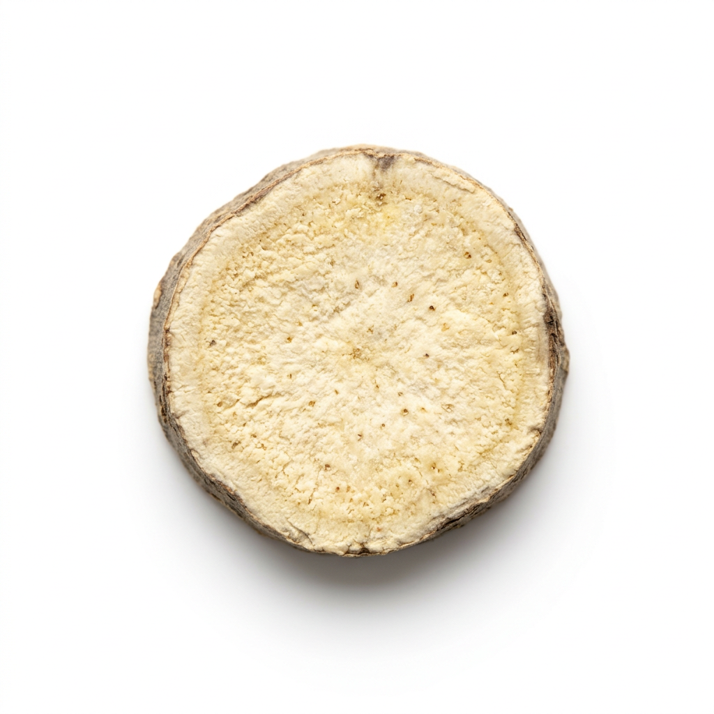 Atractylodes Rhizome (Bai Zhu)