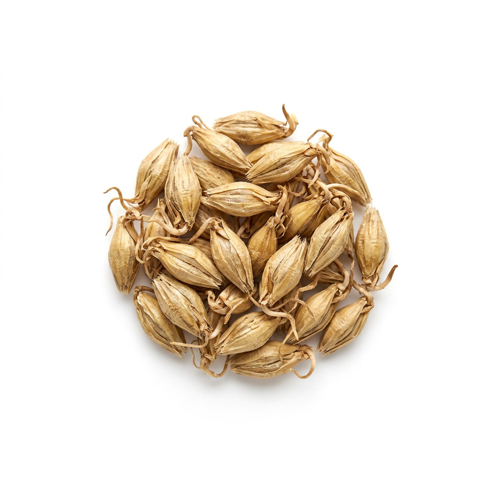 Barley Dried Germinated Ripe Fruit (Mai Ya)