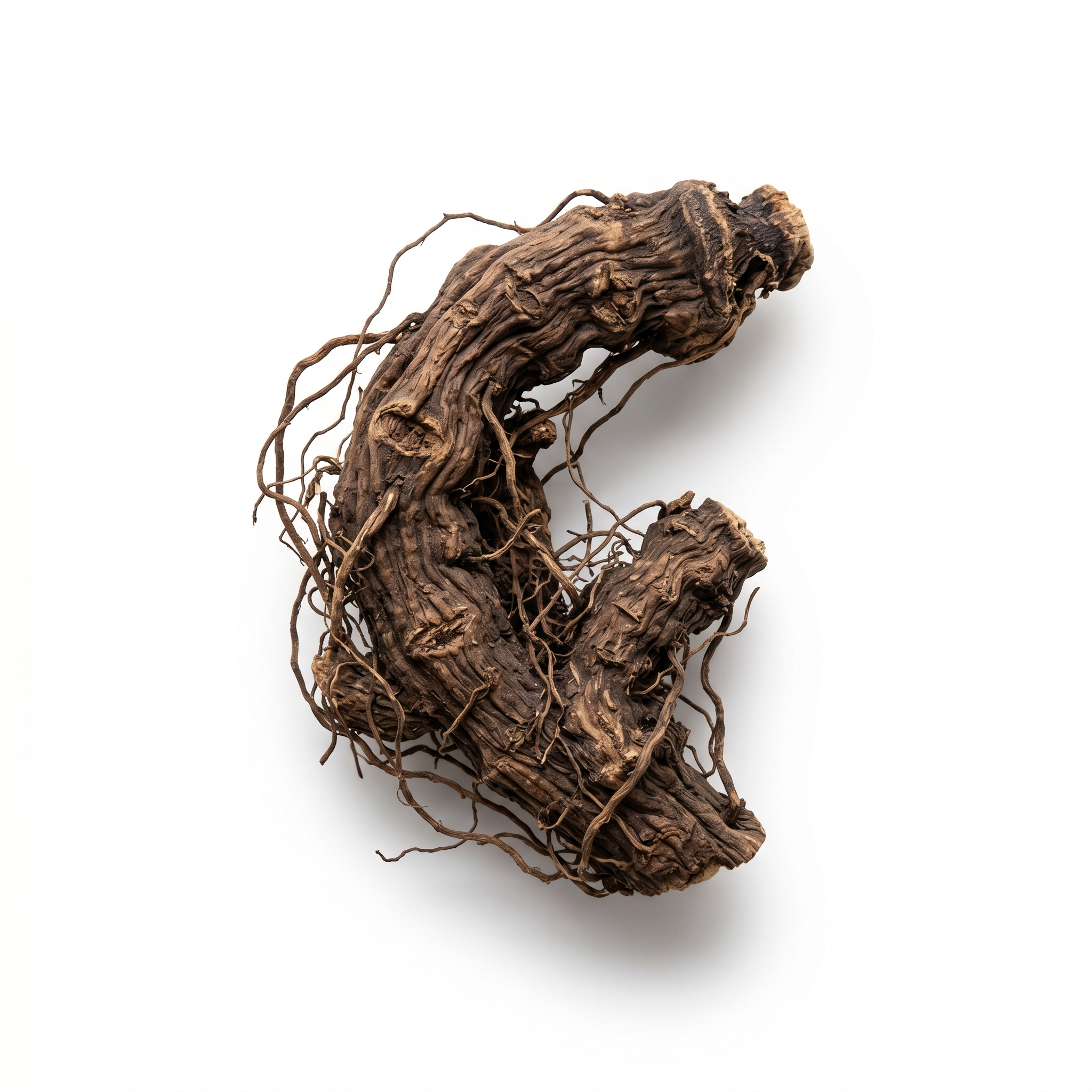 Black Cohosh Rhizome (Sheng Ma)