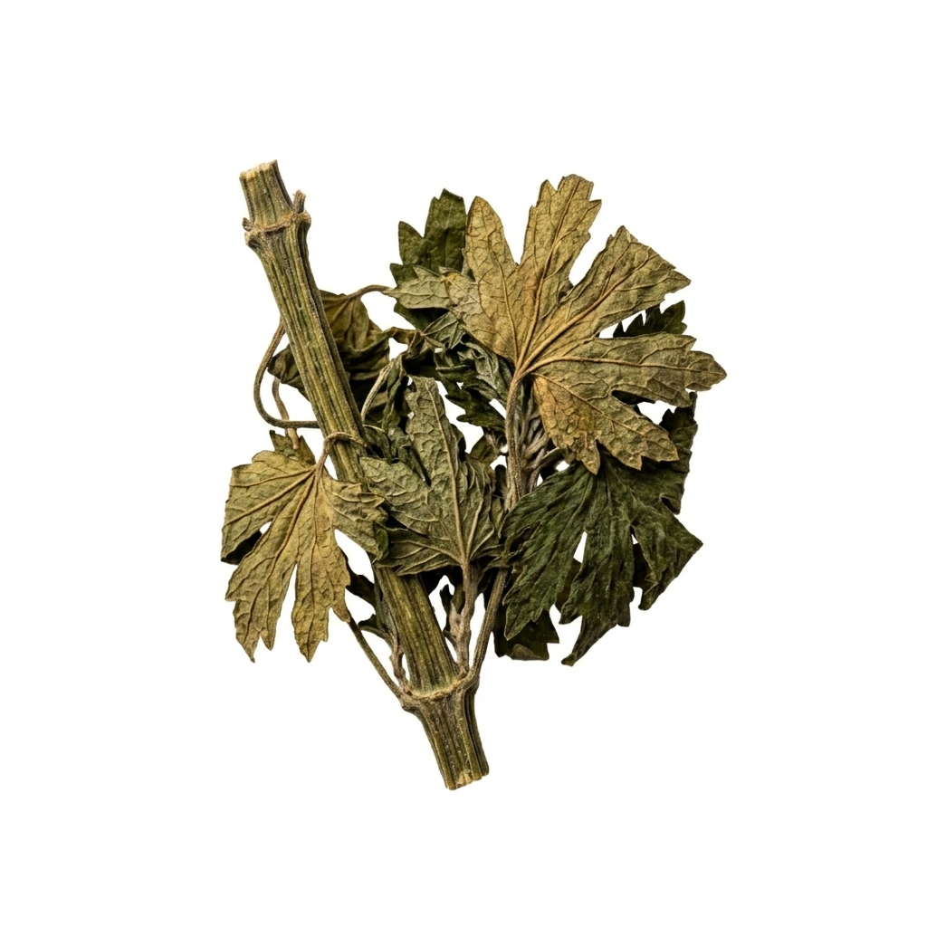 Chinese Motherwort (Yi Mu Cao)