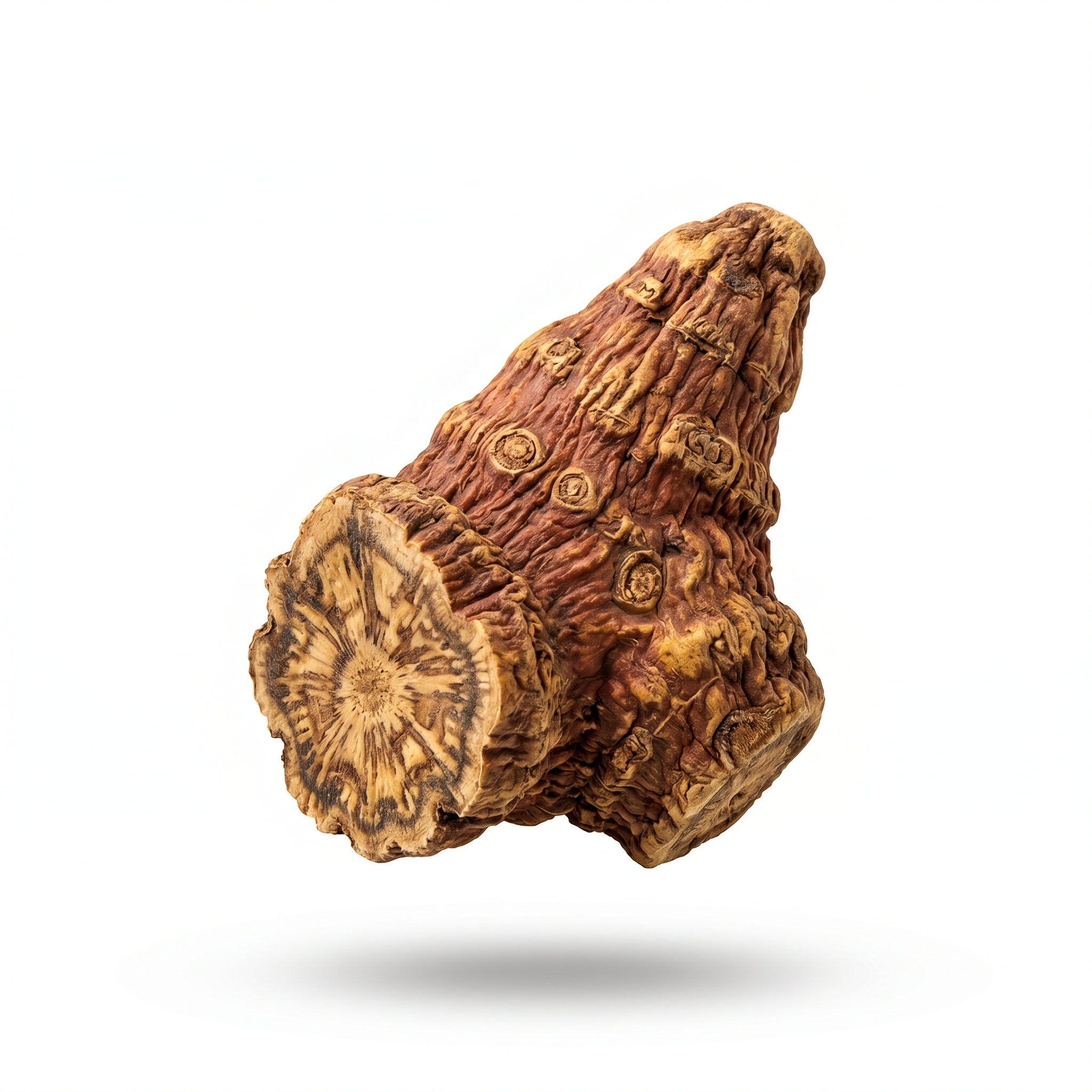 Chinese Rhubarb Root and Rhizome (Da Huang)