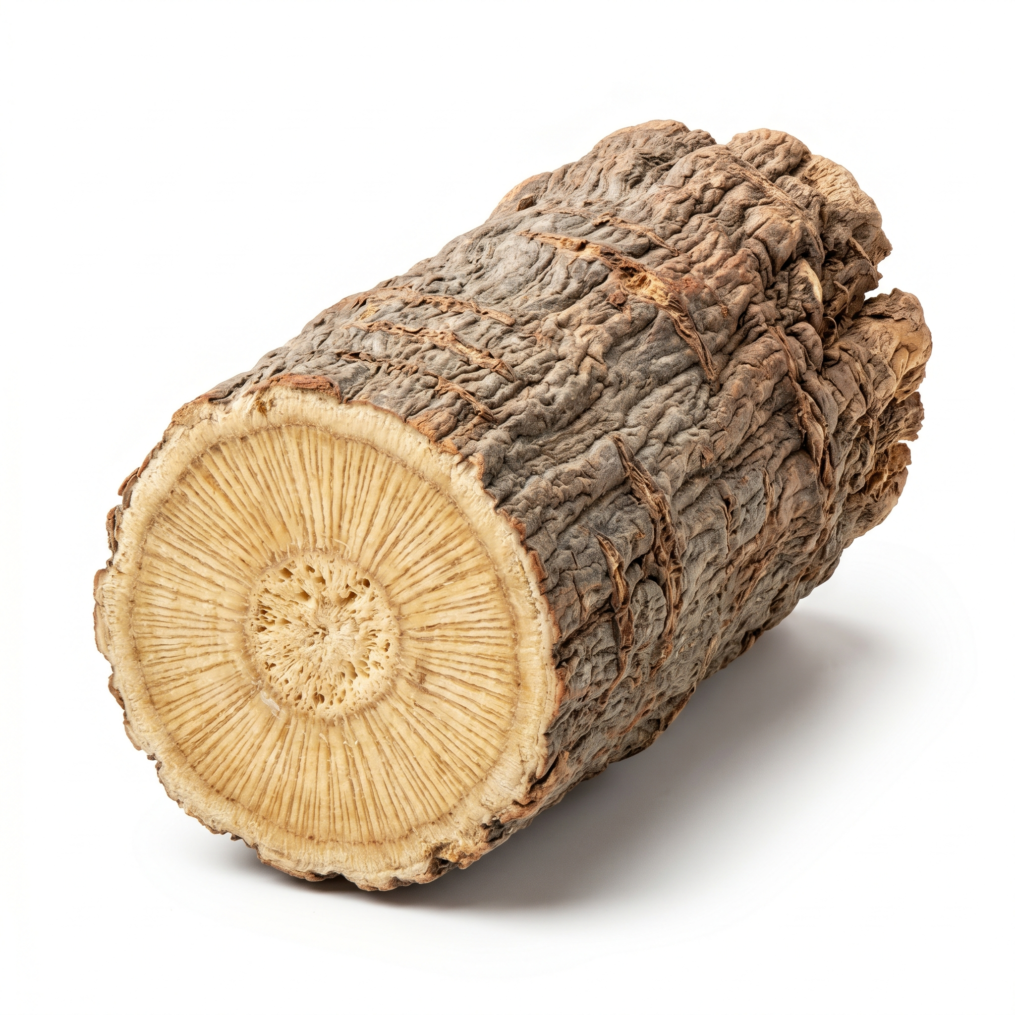 Elecampane root (Tu Mu Xiang)
