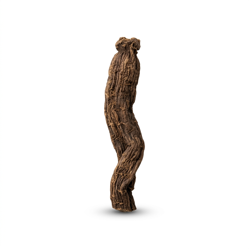 Figwort Root (Xuan Shen)