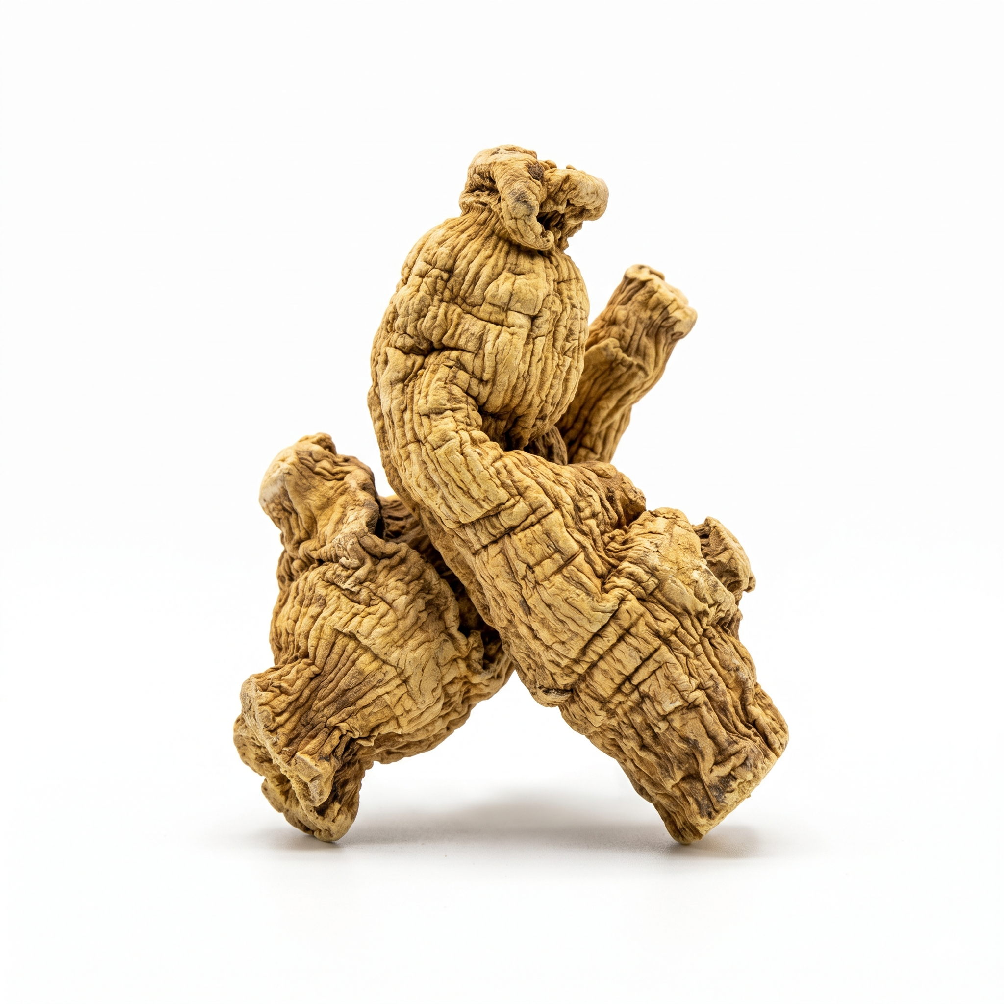 Fourleaf Ladybell Root (Nan Sha Shen)