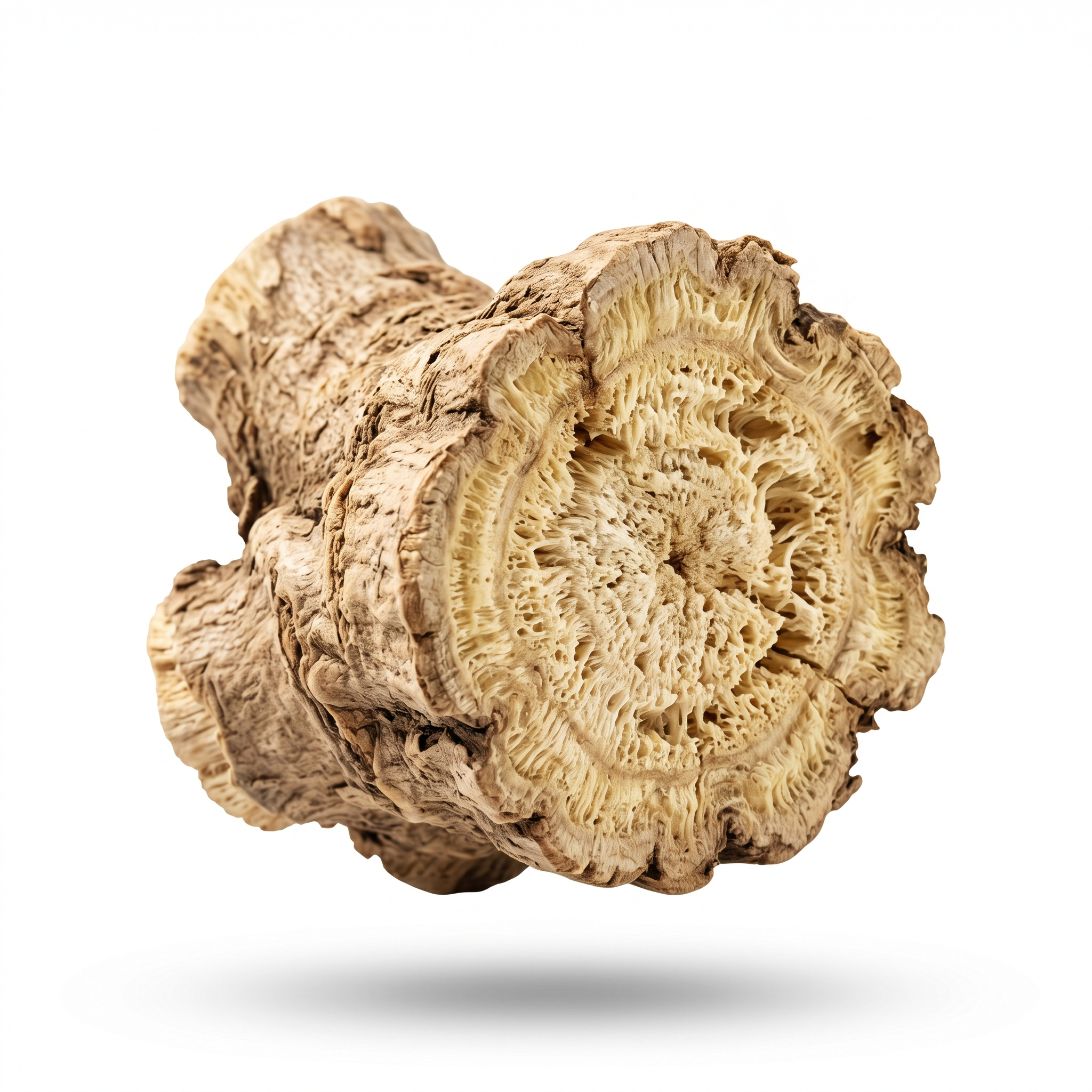 Kudzu Root (Ge Gen)
