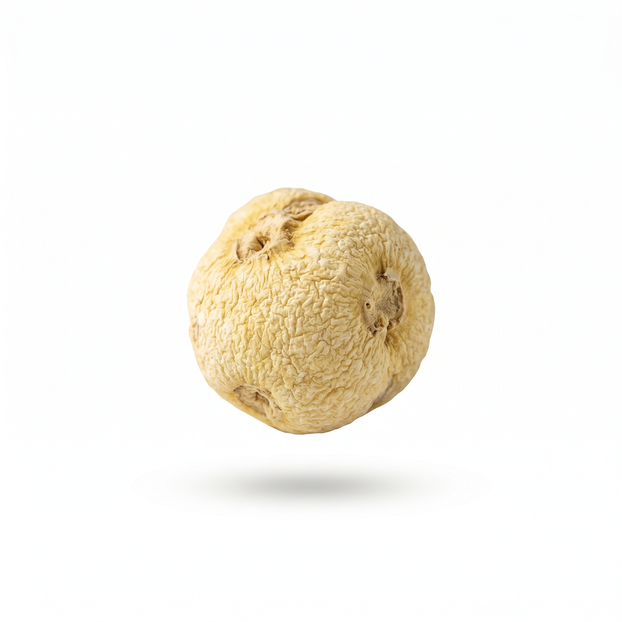 Pinellia Rhizome (Ban Xia)