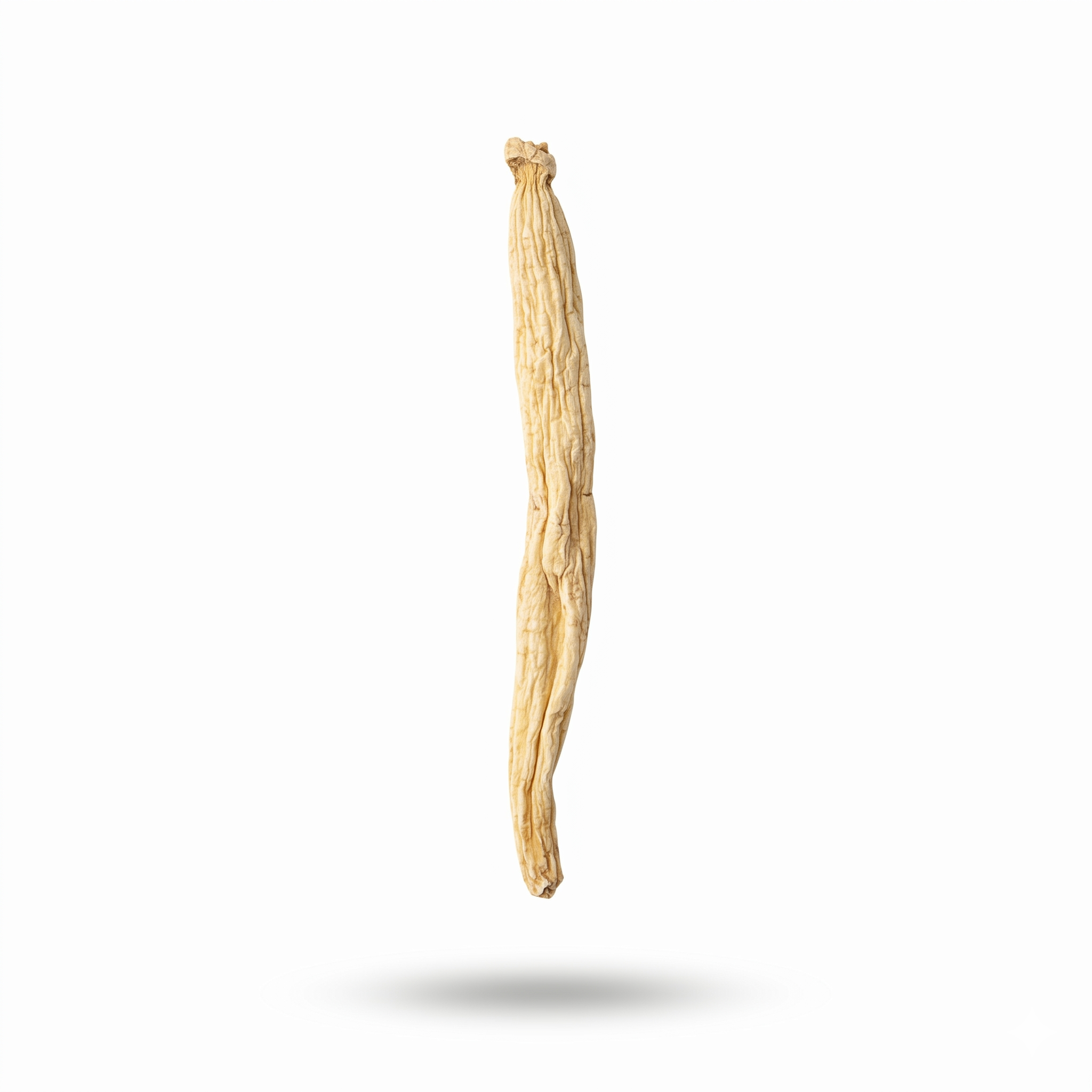 Pseudostellaria Root (Tai Zi Shen)