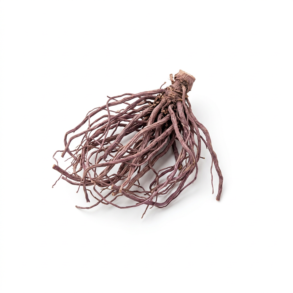 Purple Aster Root (Zi Wan)
