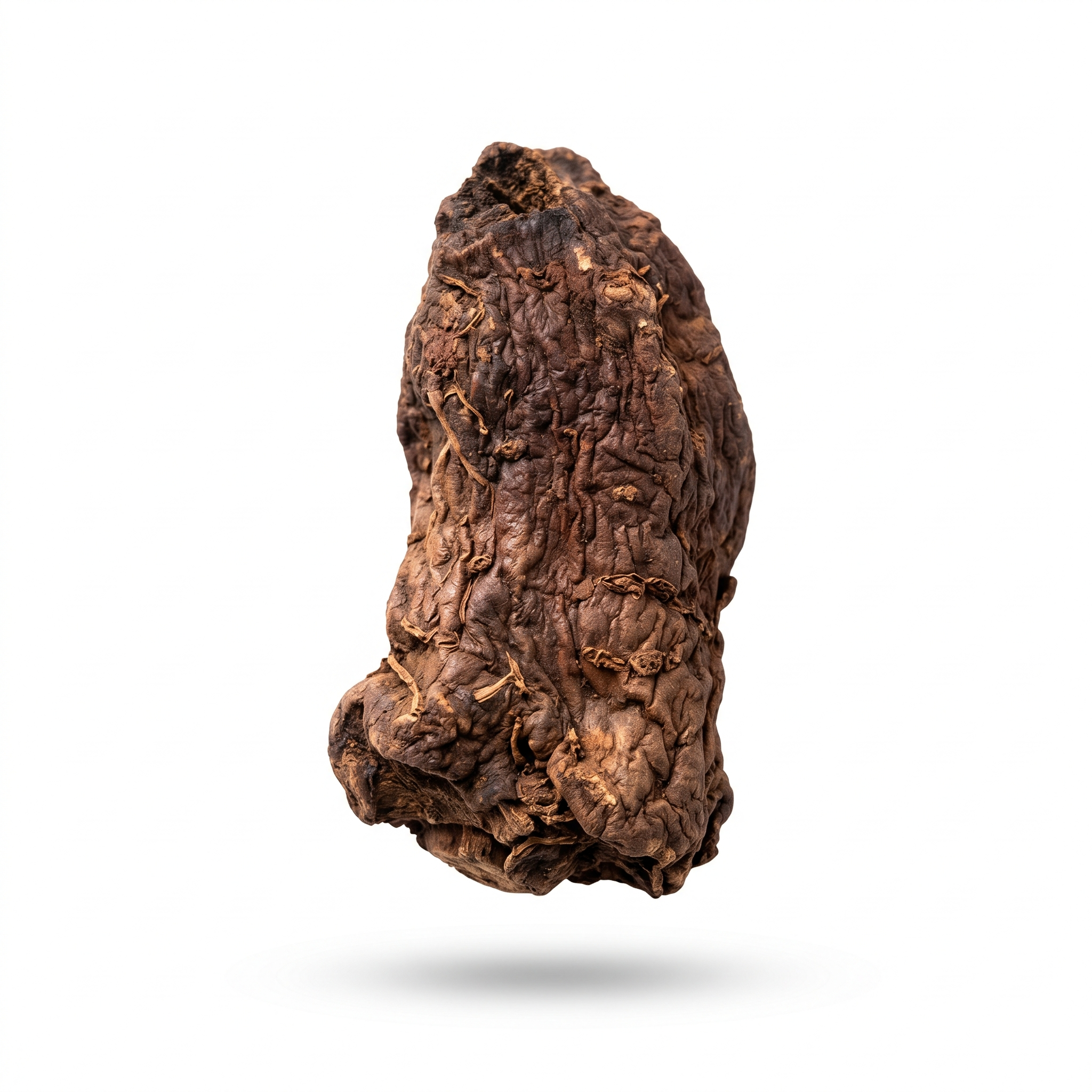 Raw Rehmannia Root (Sheng Di Huang)