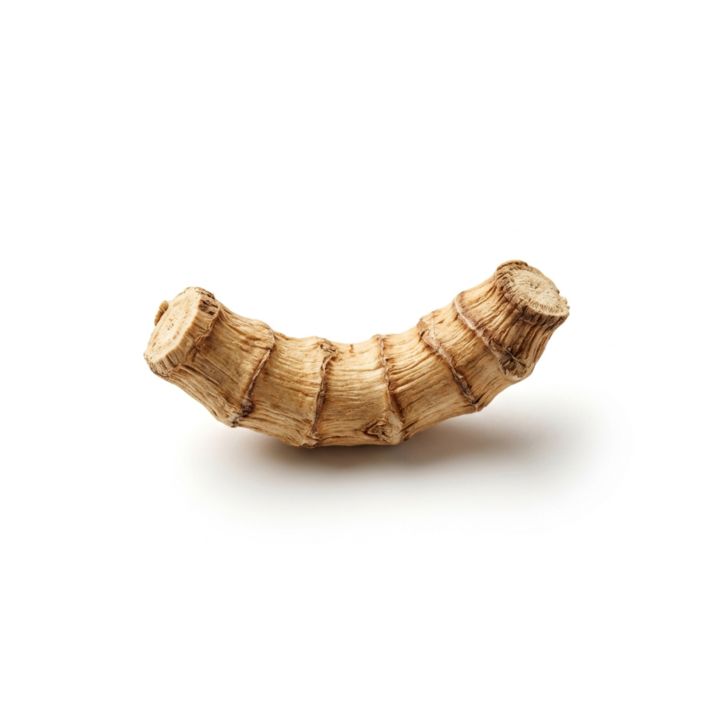 Sweetflag Rhizome (Shi Chang Pu)