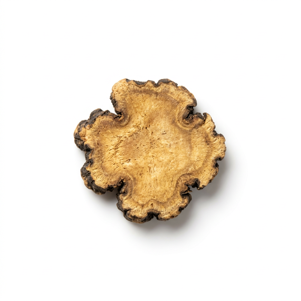 Szechuan Lovage Root (Chuan Xiong)