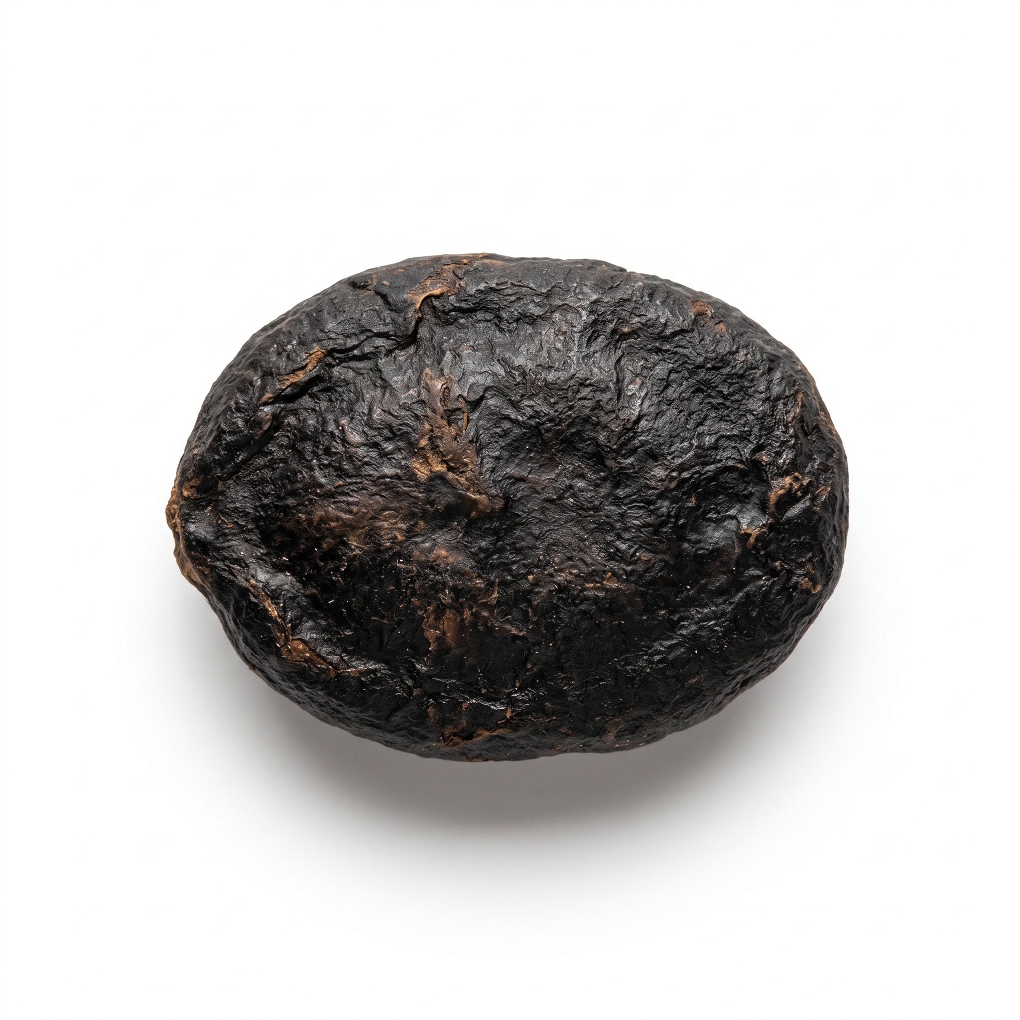 Trichosanthes Seed (Gua Lou Ren)