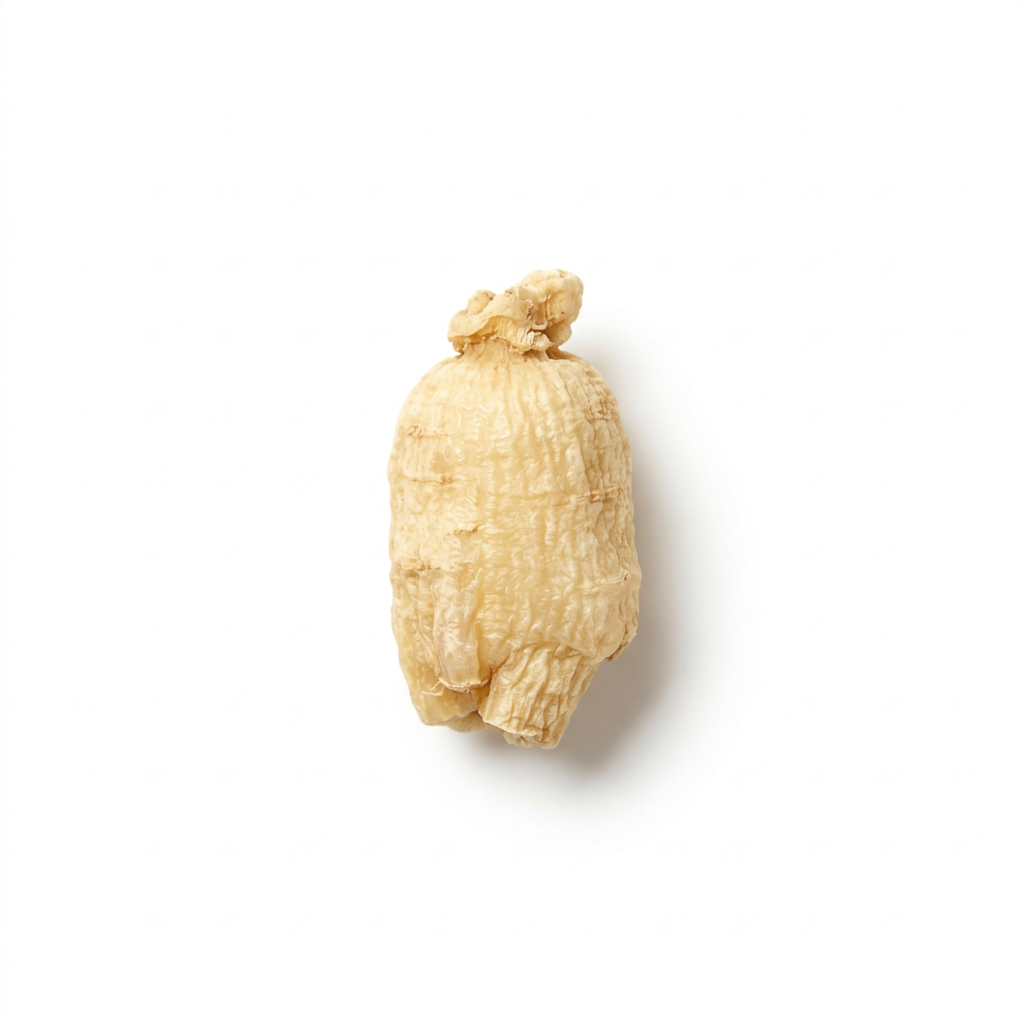 White Ginseng Root (Bai Ren Shen)