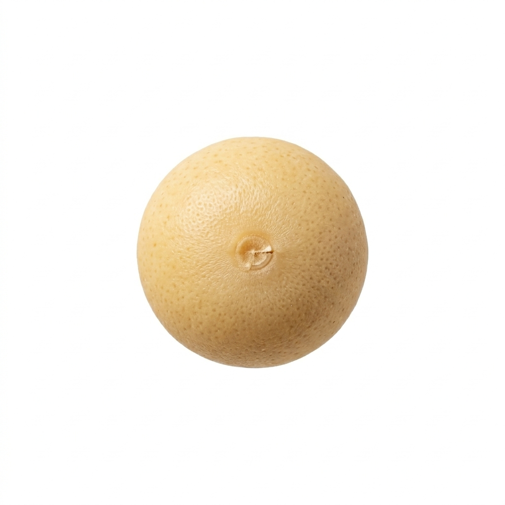 White Mustard Seed (Bai Jie Zi)