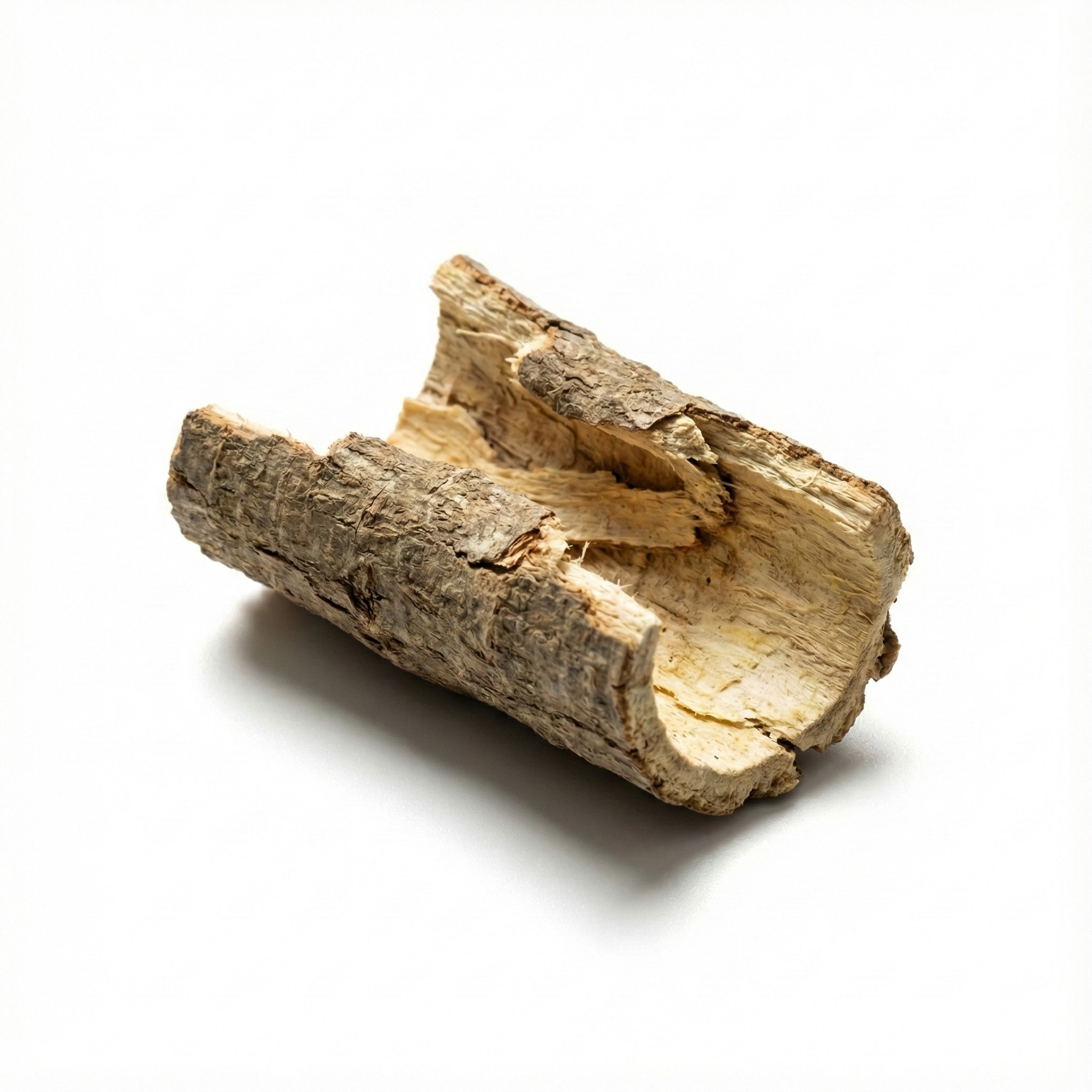 Dense Fruit Dittany Root Bark (Bai Xian Pi)