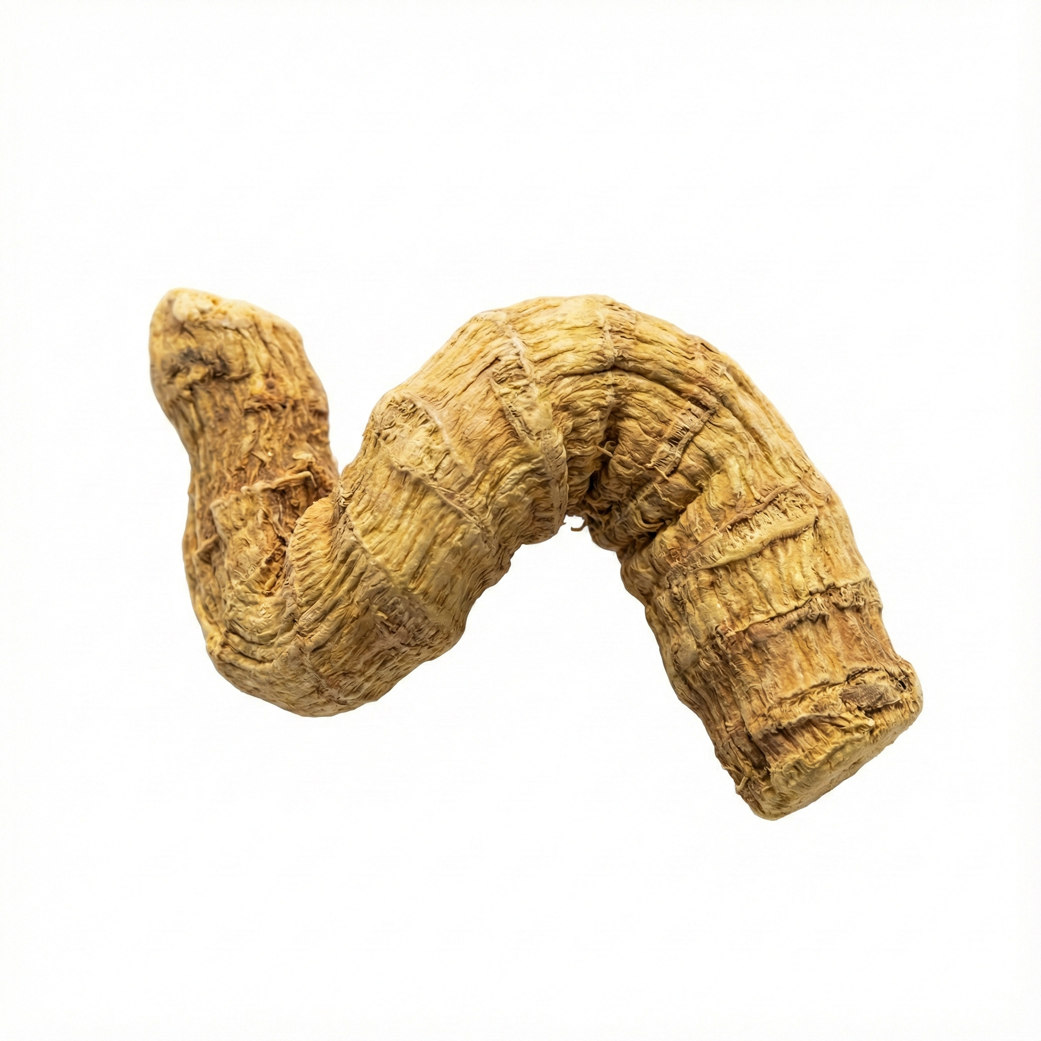 Angelica Pubescens Root (Du Huo)