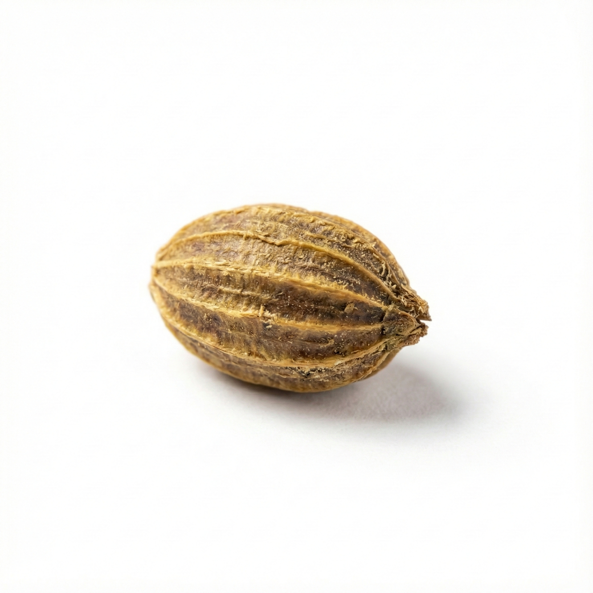 Cnidium Seed (She Chuang Zi)