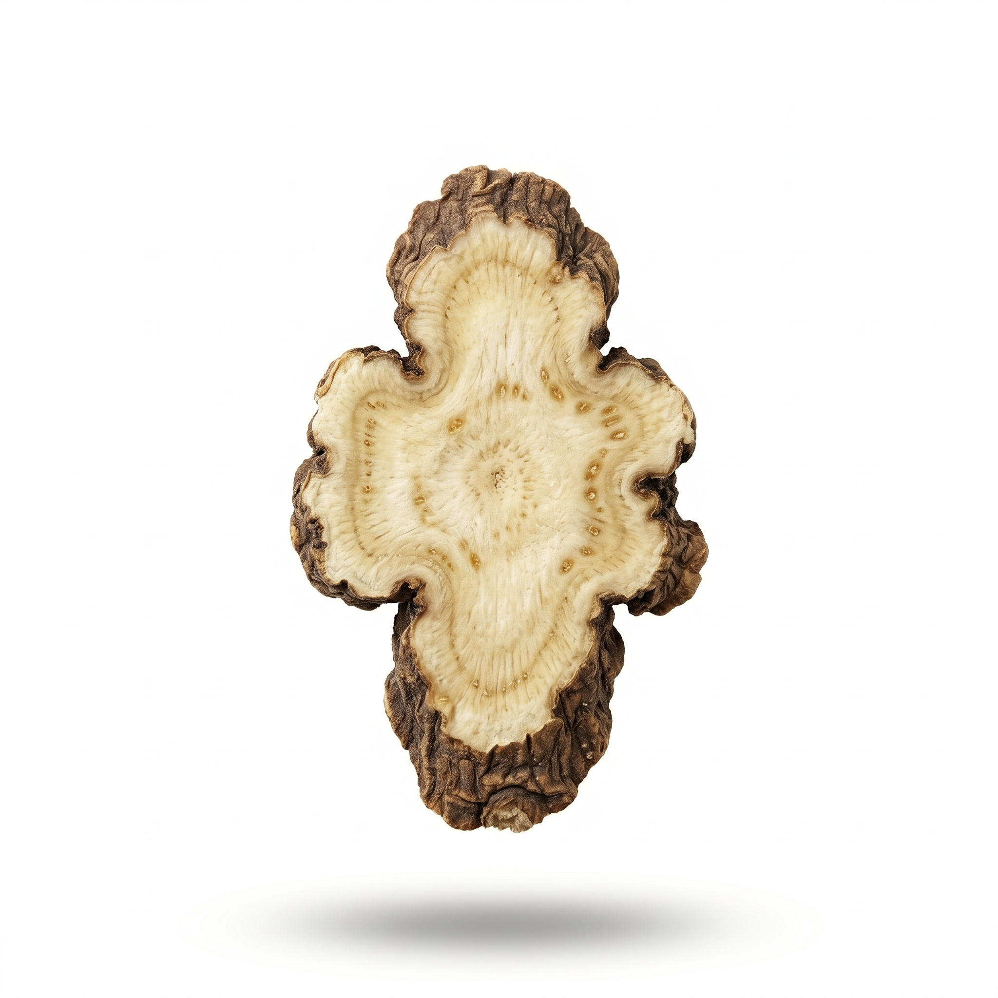 Chinese Lovage Root (Gao Ben)