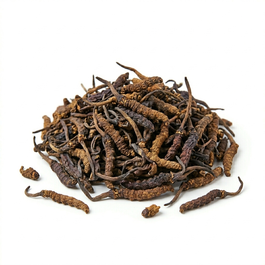 Cordyceps (Ophiocordyceps sinensis) ((Dōngchóngxiàcǎo))
