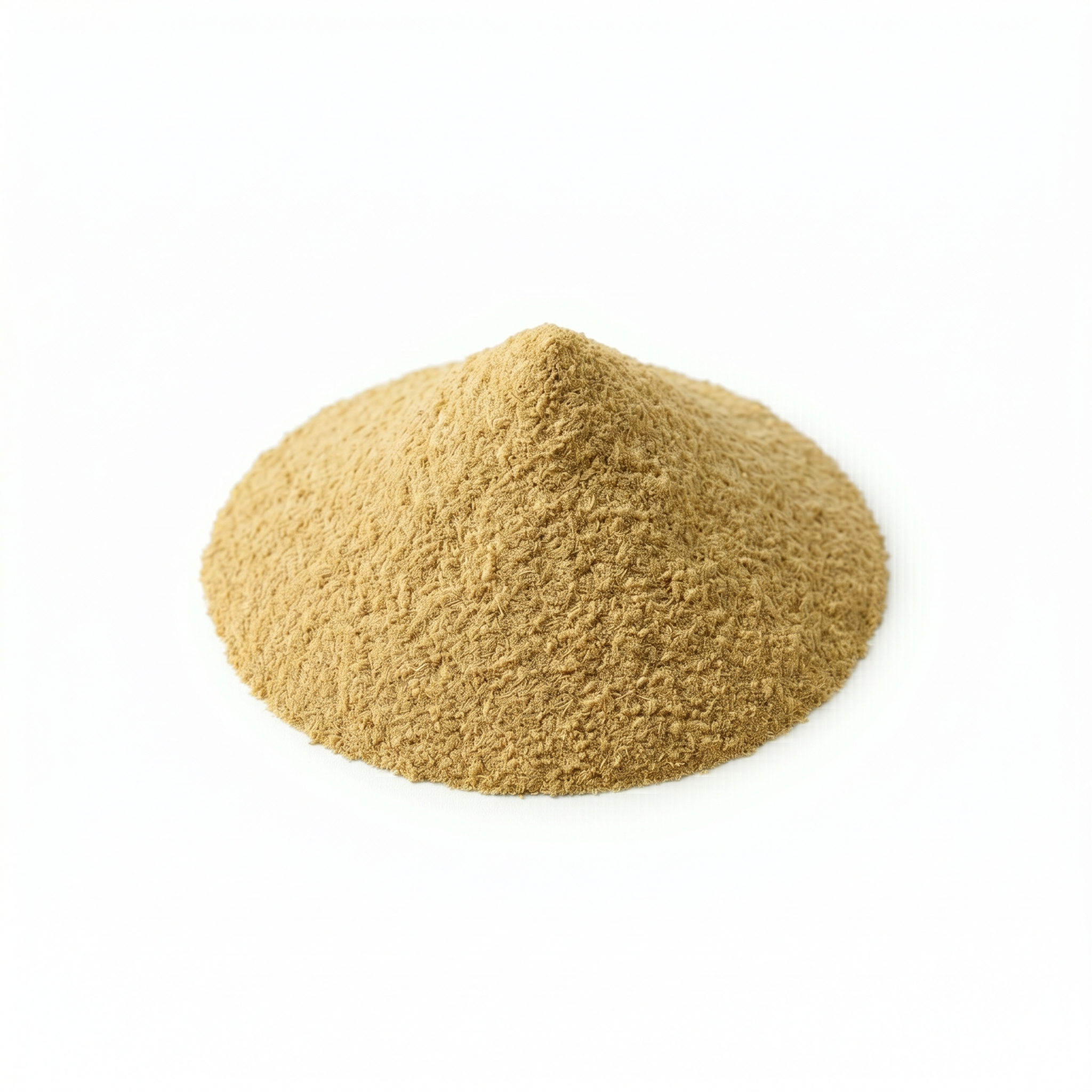 Dried Fennel Seed Powder (Huí xiāng zǐ fěn / xiǎo huí xiāng zǐ fěn)