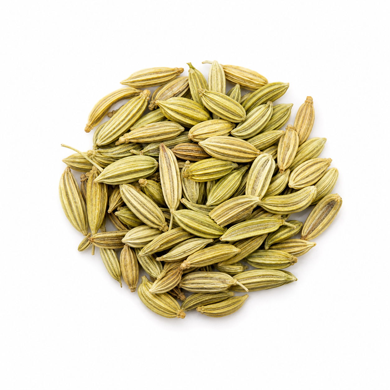 Fennel Seed (Huí xiāng zǐ)
