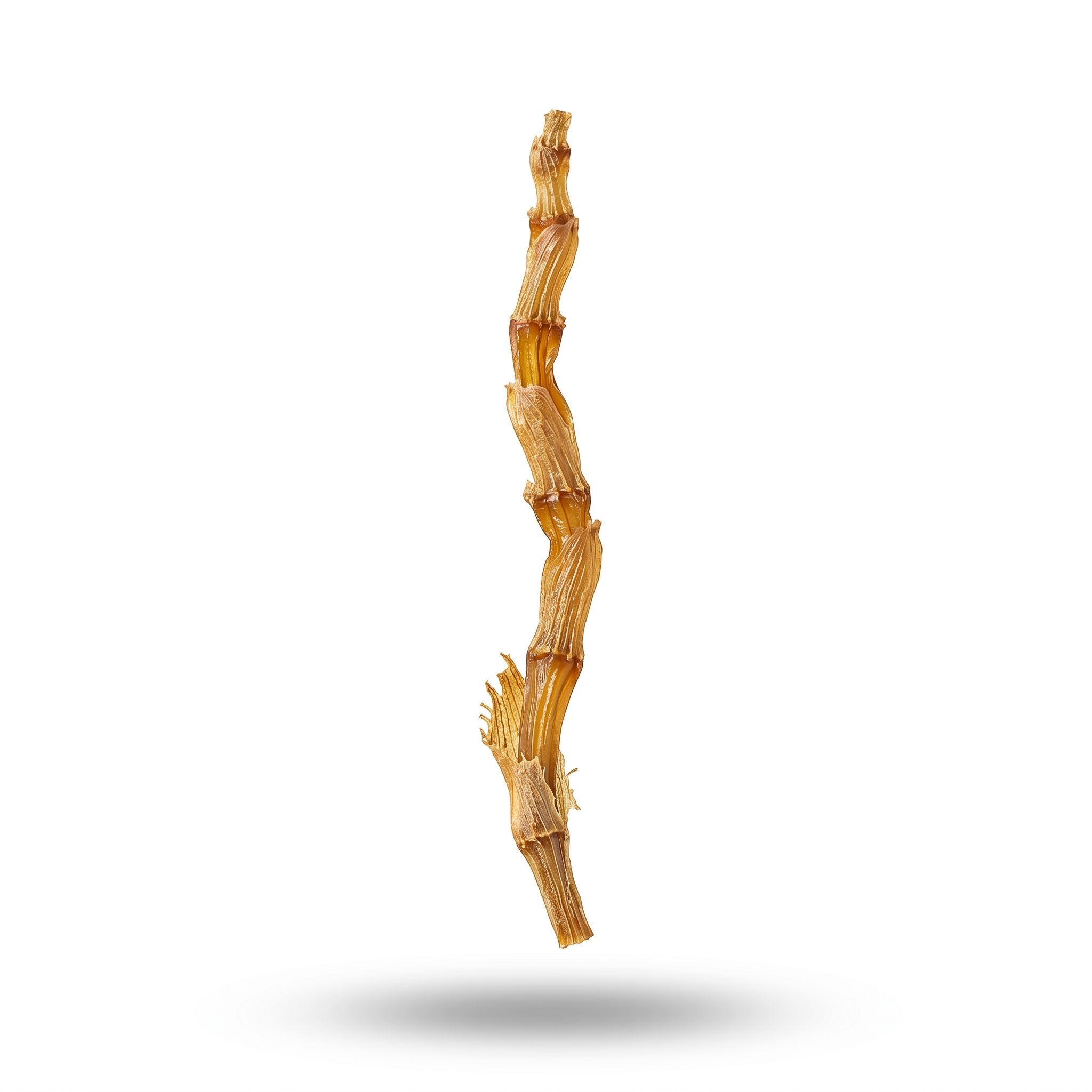 Fimbriate Dendrobium Stem (Liu Su Shi Hu)