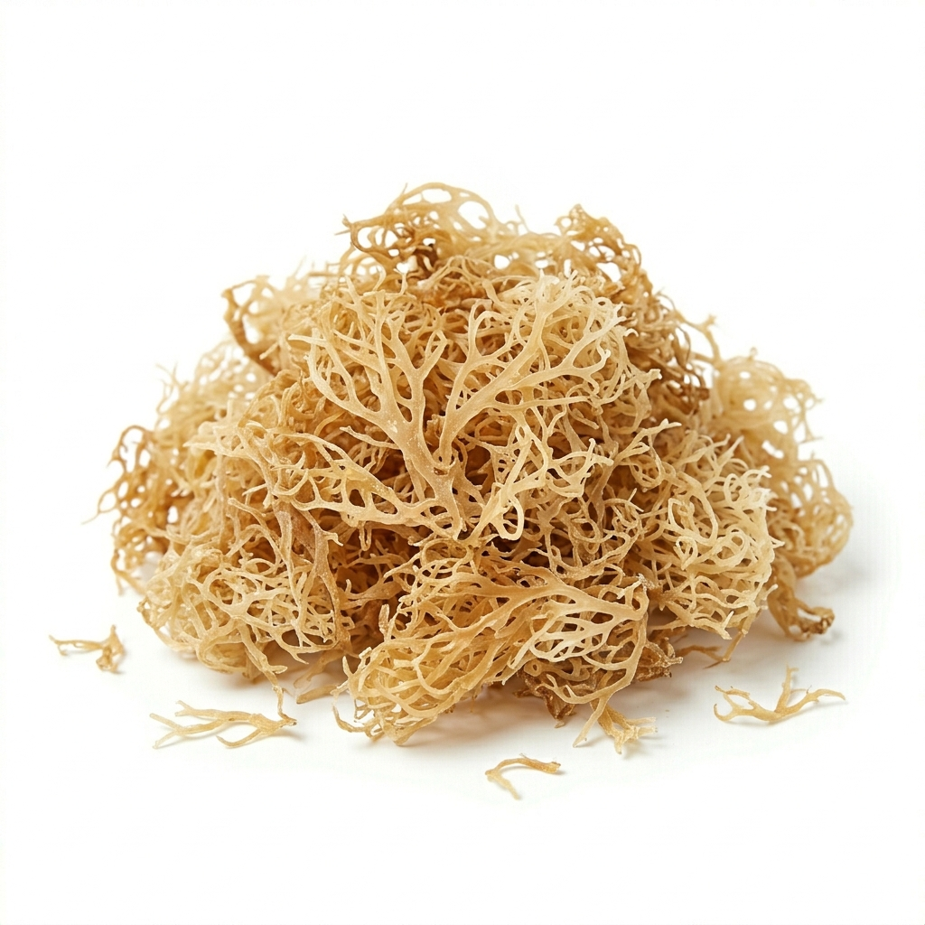 Sea Moss ((Hǎizǎo jiāo))