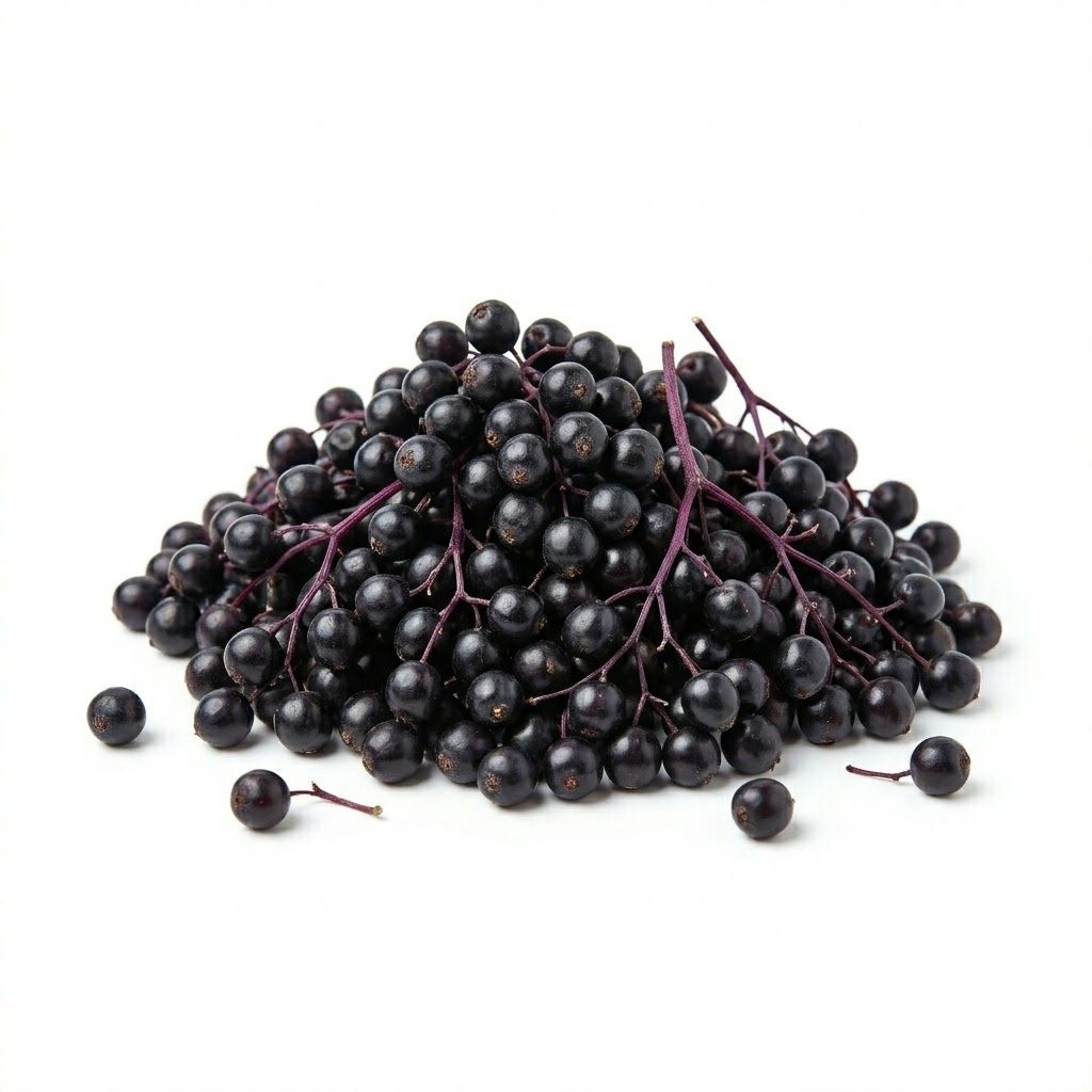 Elderberry ((Jiē gǔ mù méi))