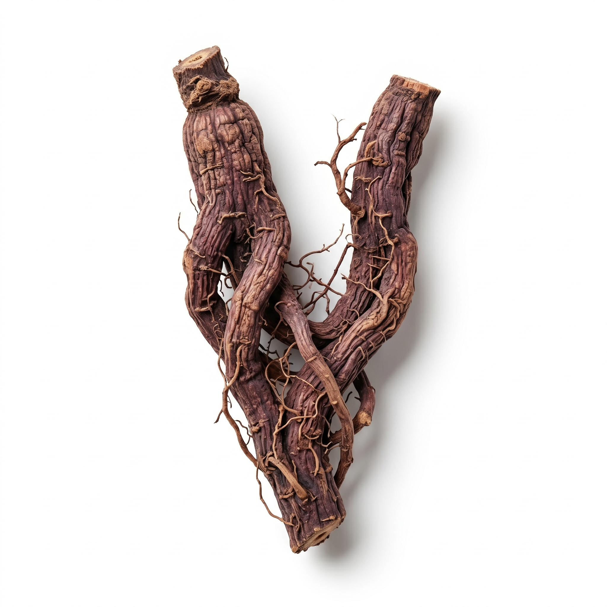 Gromwell Root (Zi Cao)
