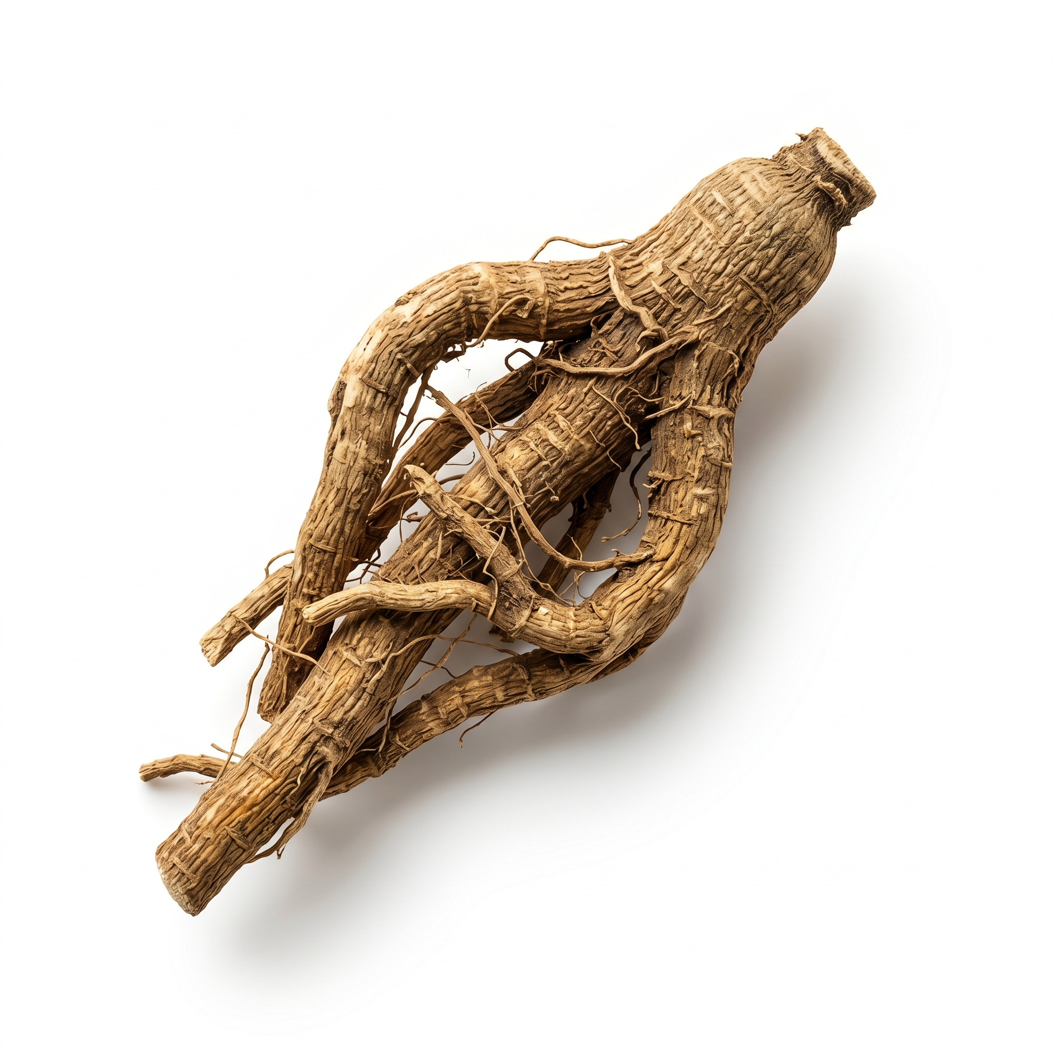 Isatis Root (Ban Lan Gen)