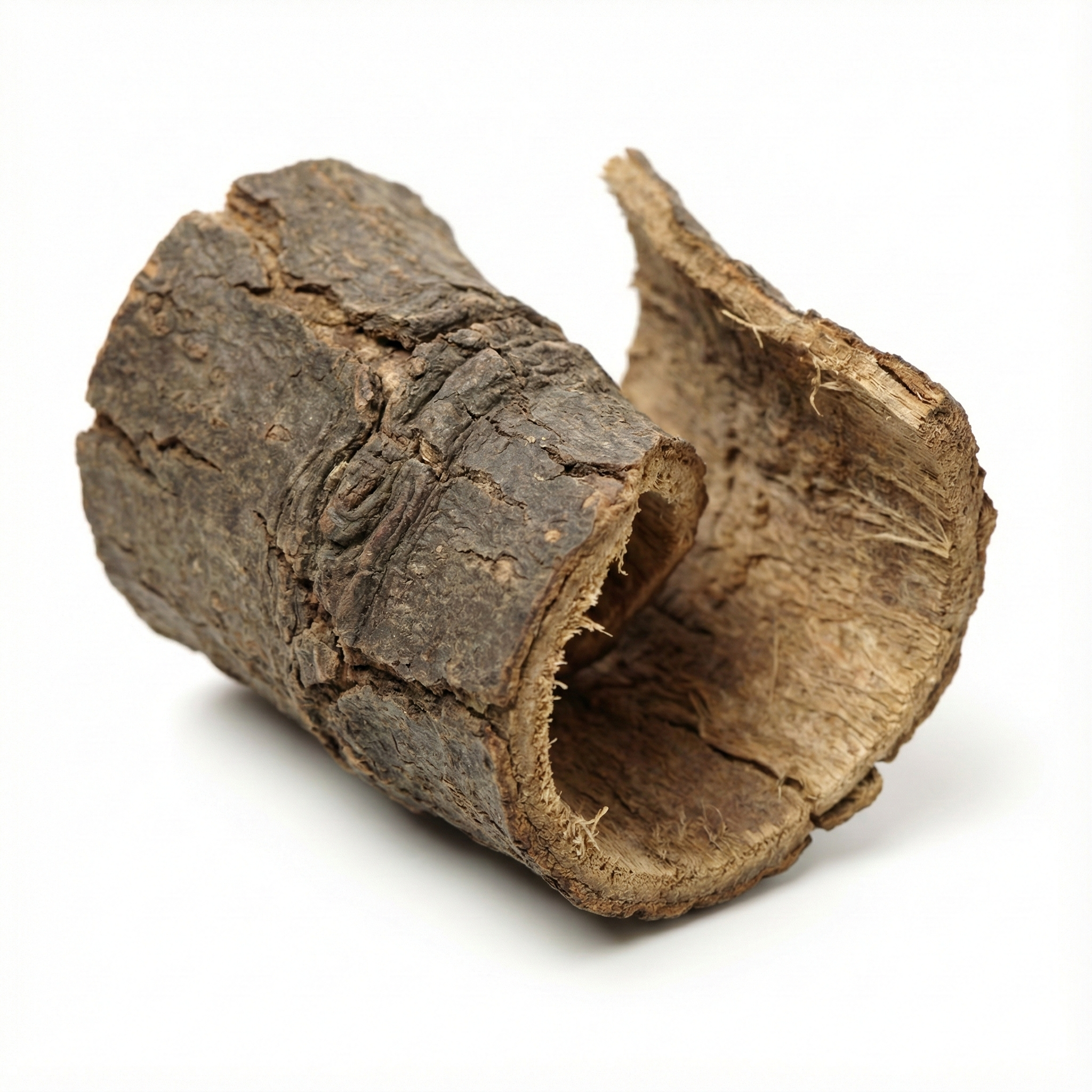 Acanthopanax Bark (Wu Jia Pi)